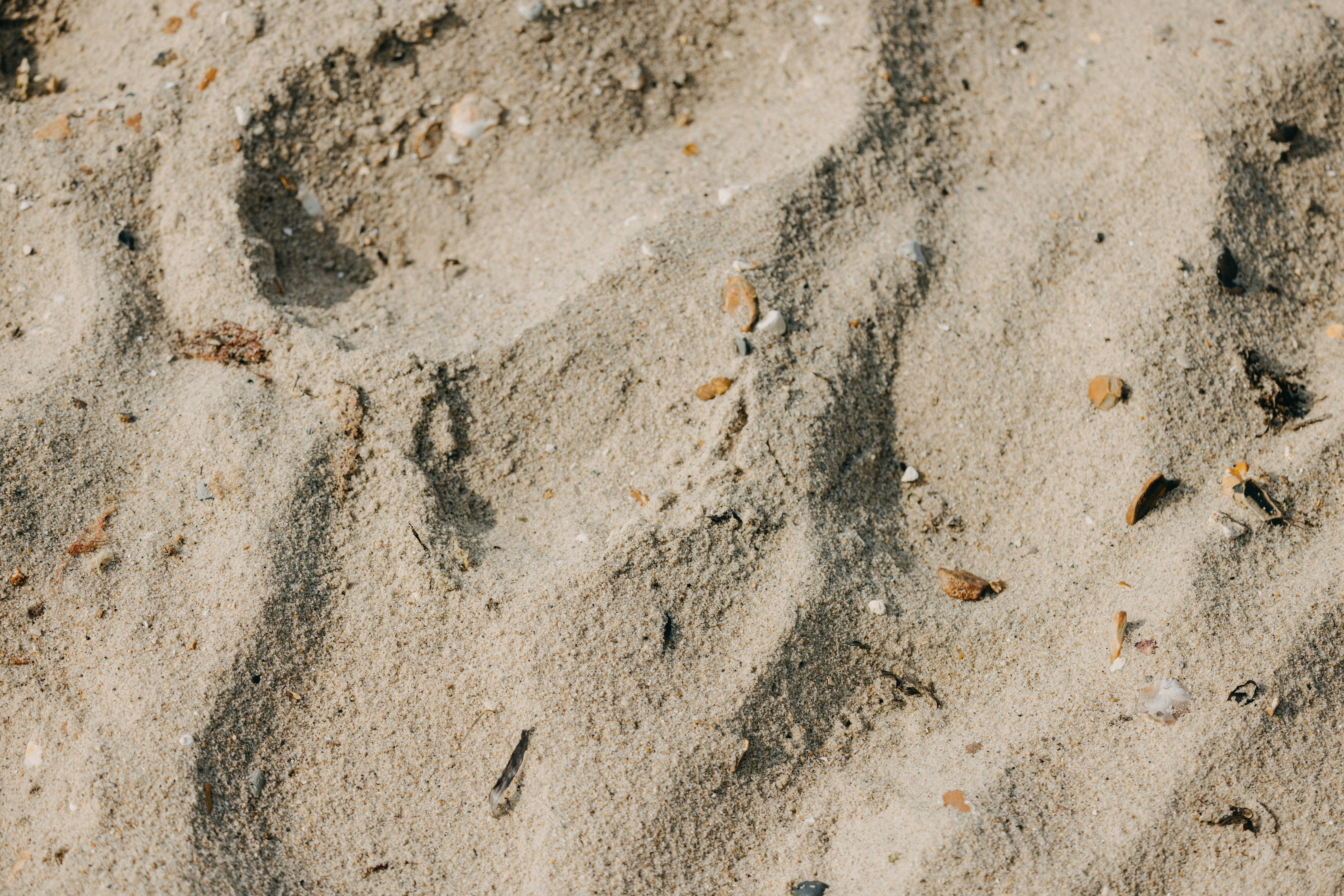 Photo by anniespratt