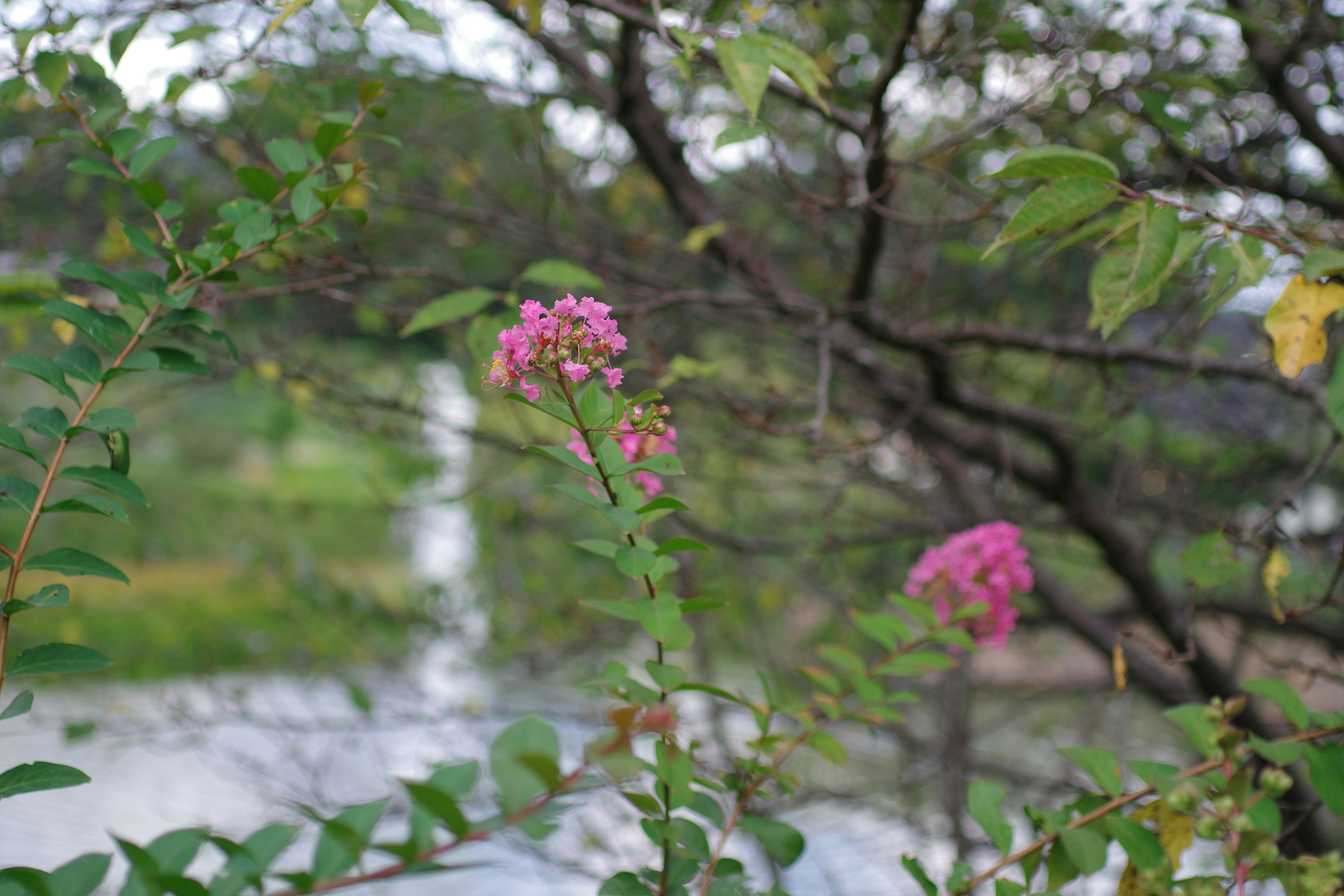 Photo by naopp