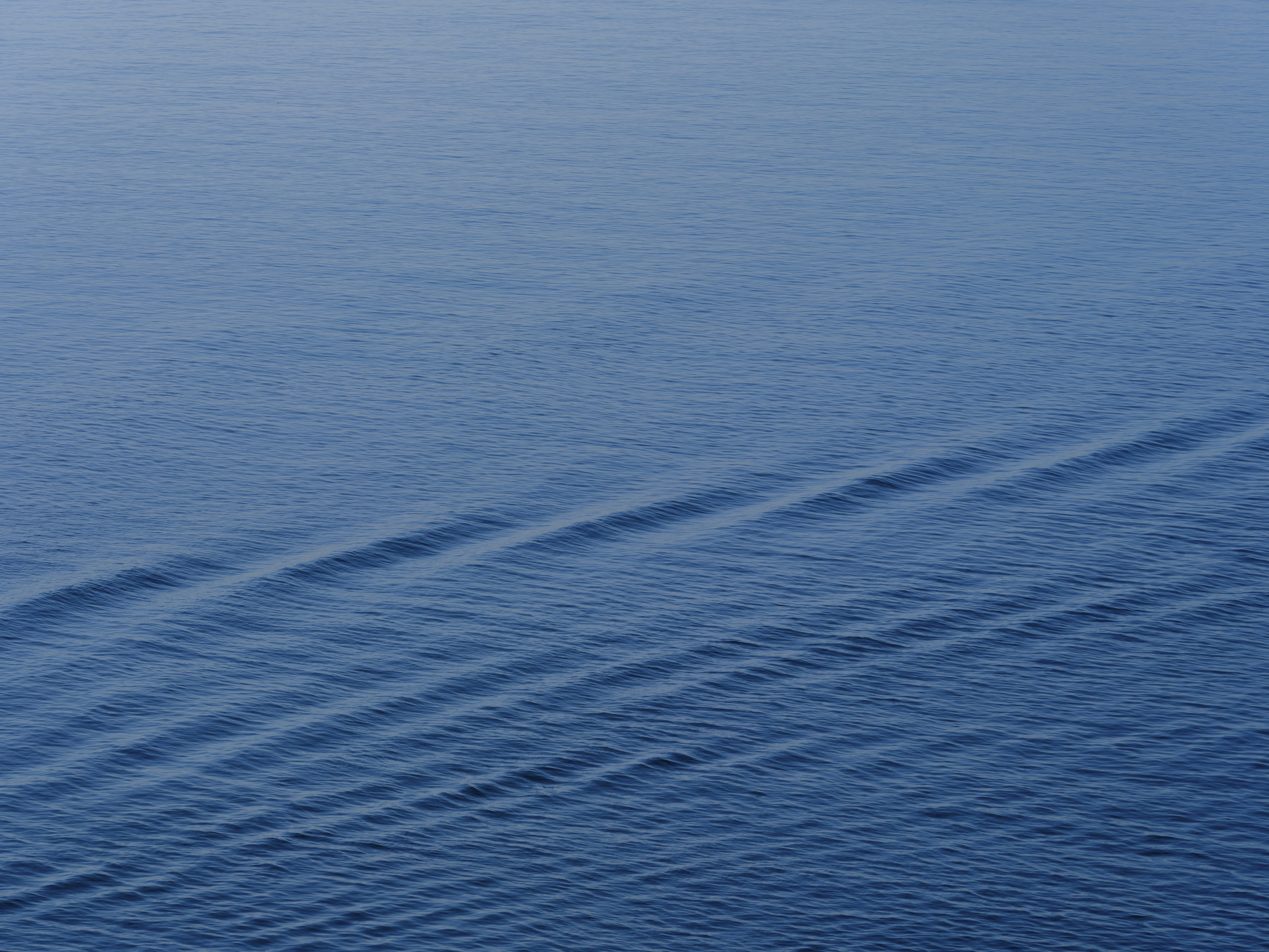 Photo by enginakyurt