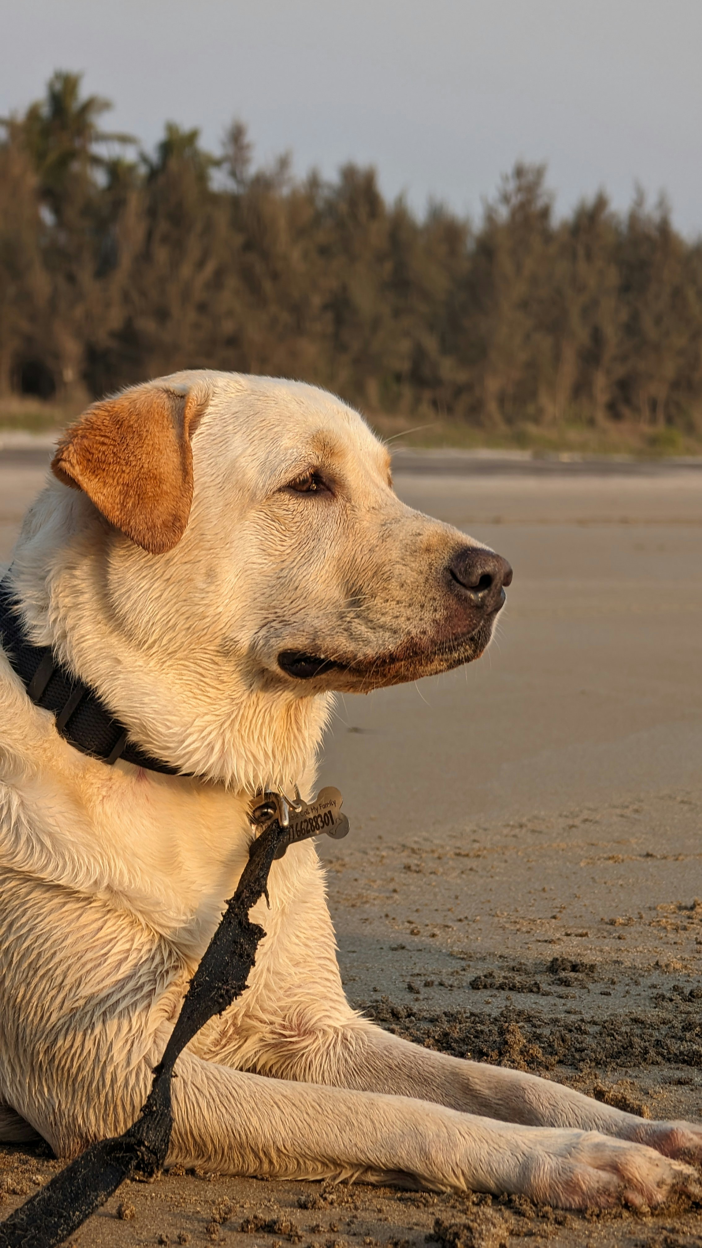 Photo by vinay_gujar