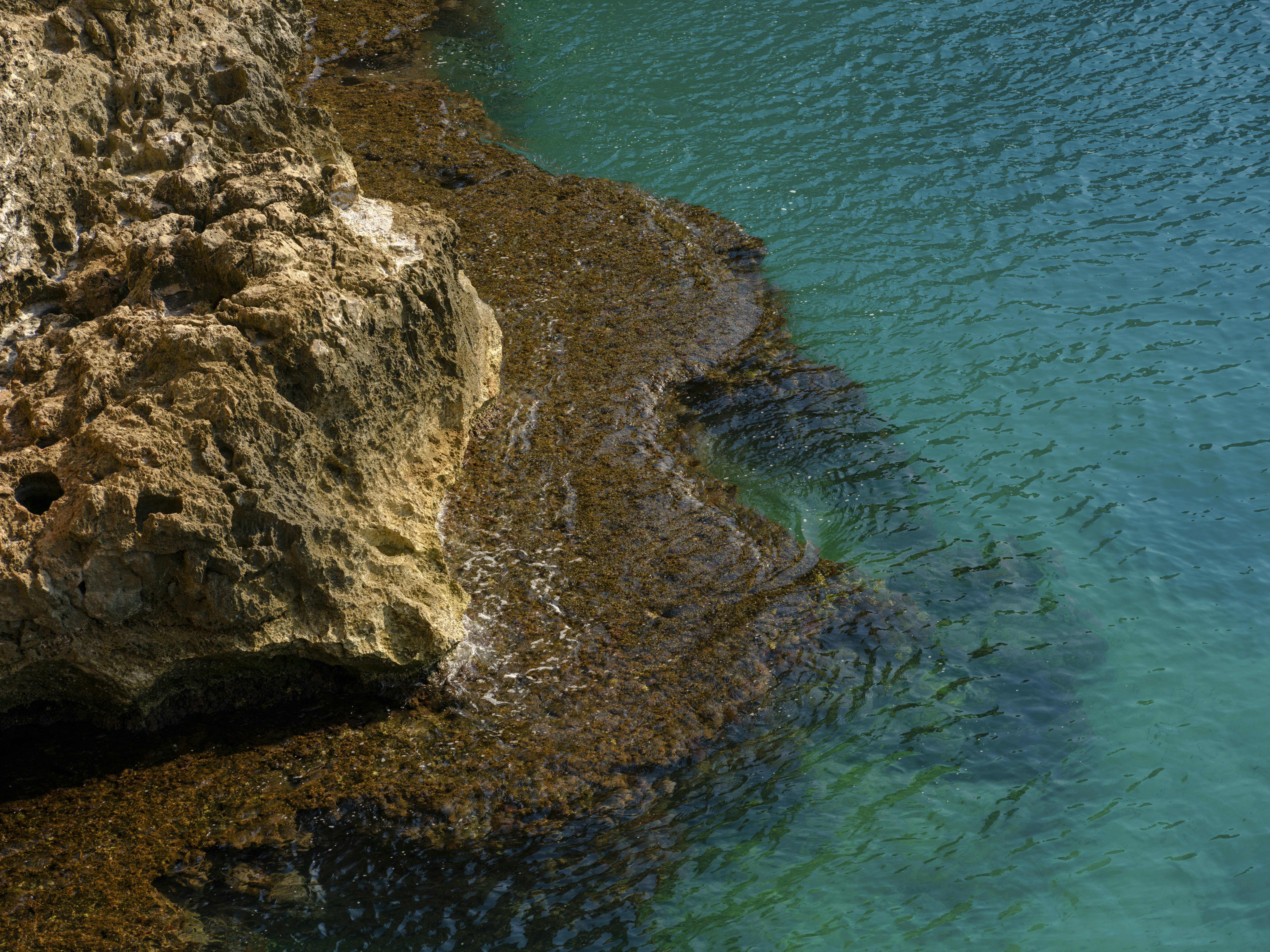 Photo by enginakyurt