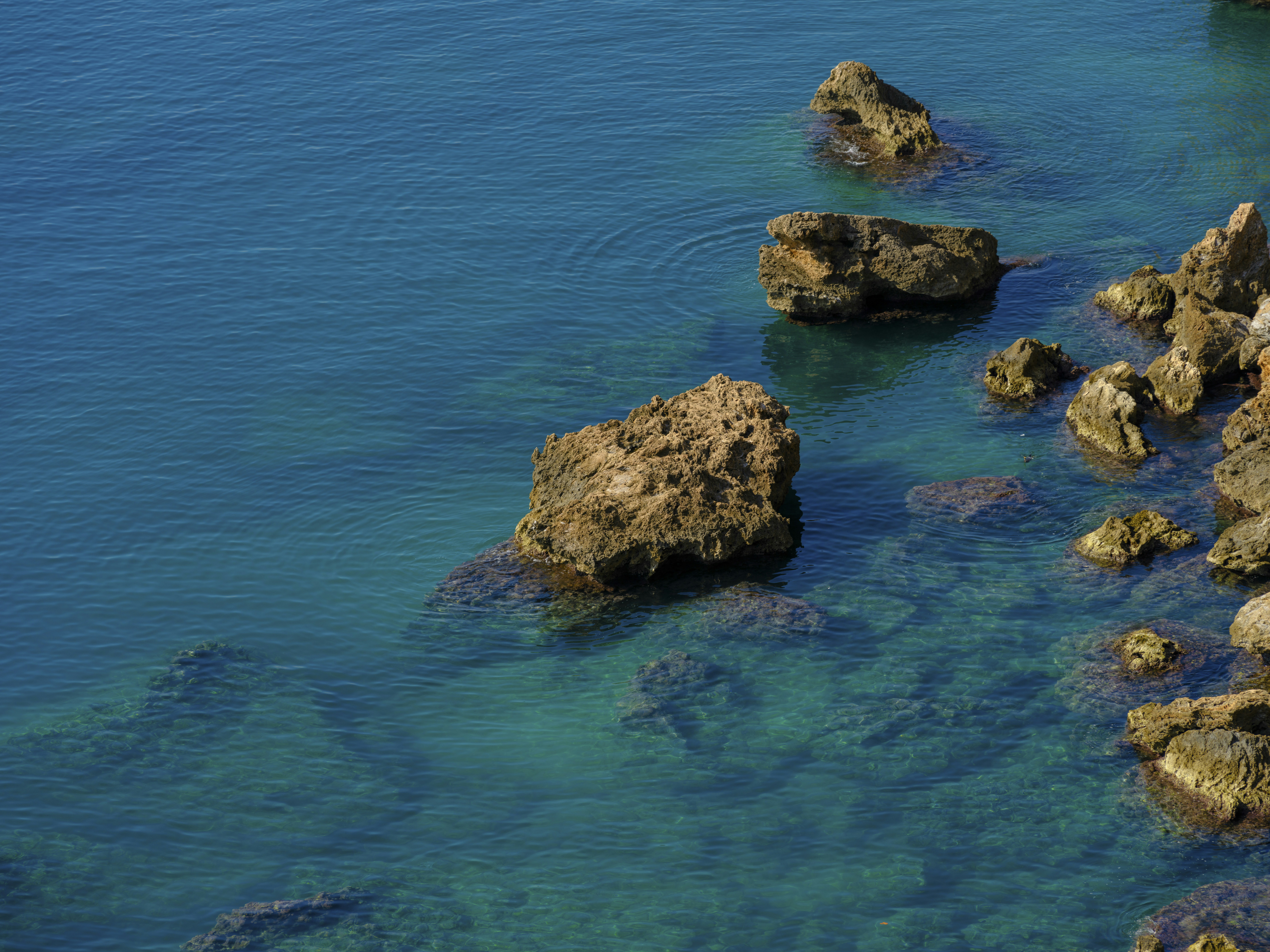 Photo by enginakyurt