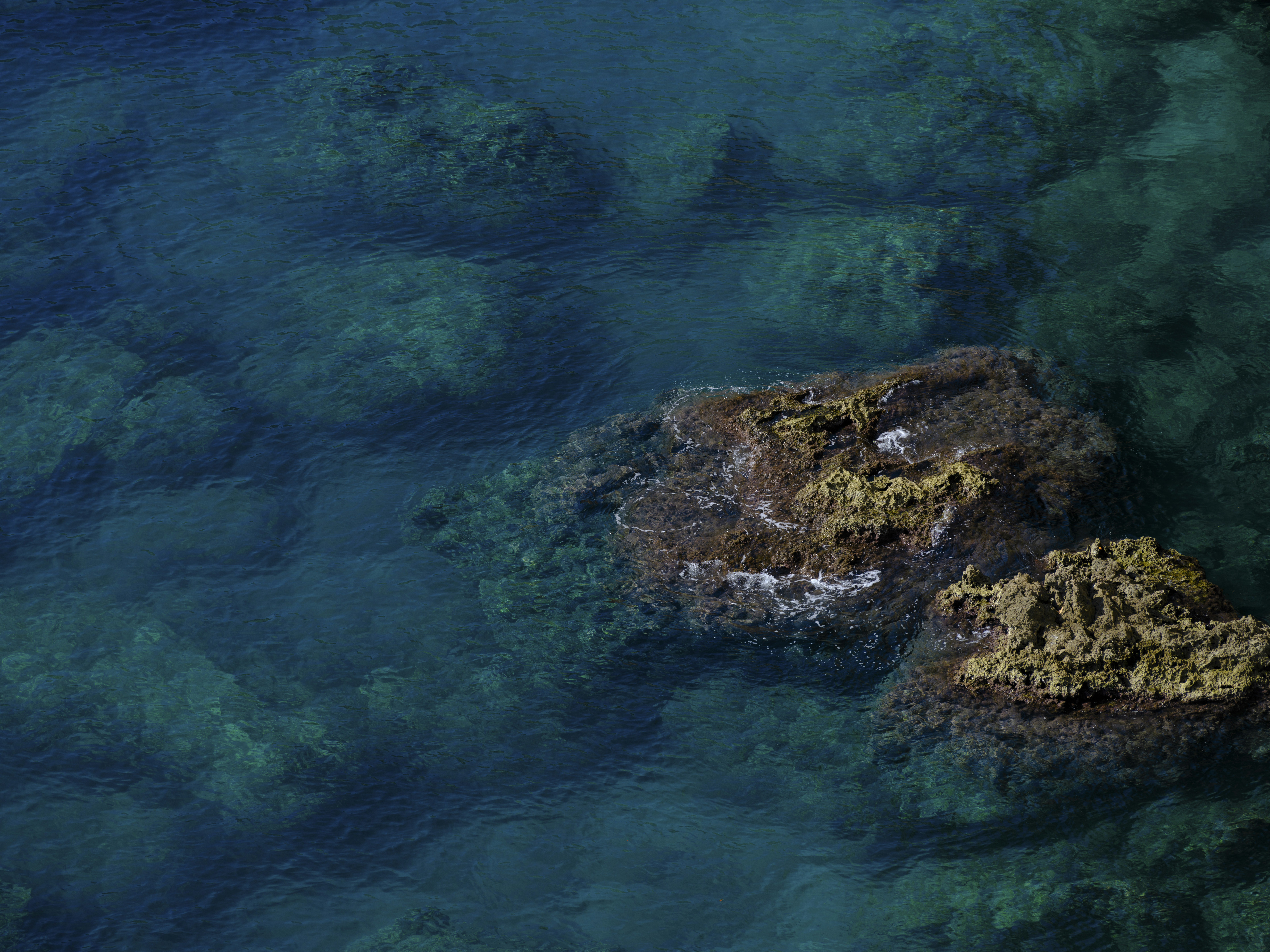 Photo by enginakyurt