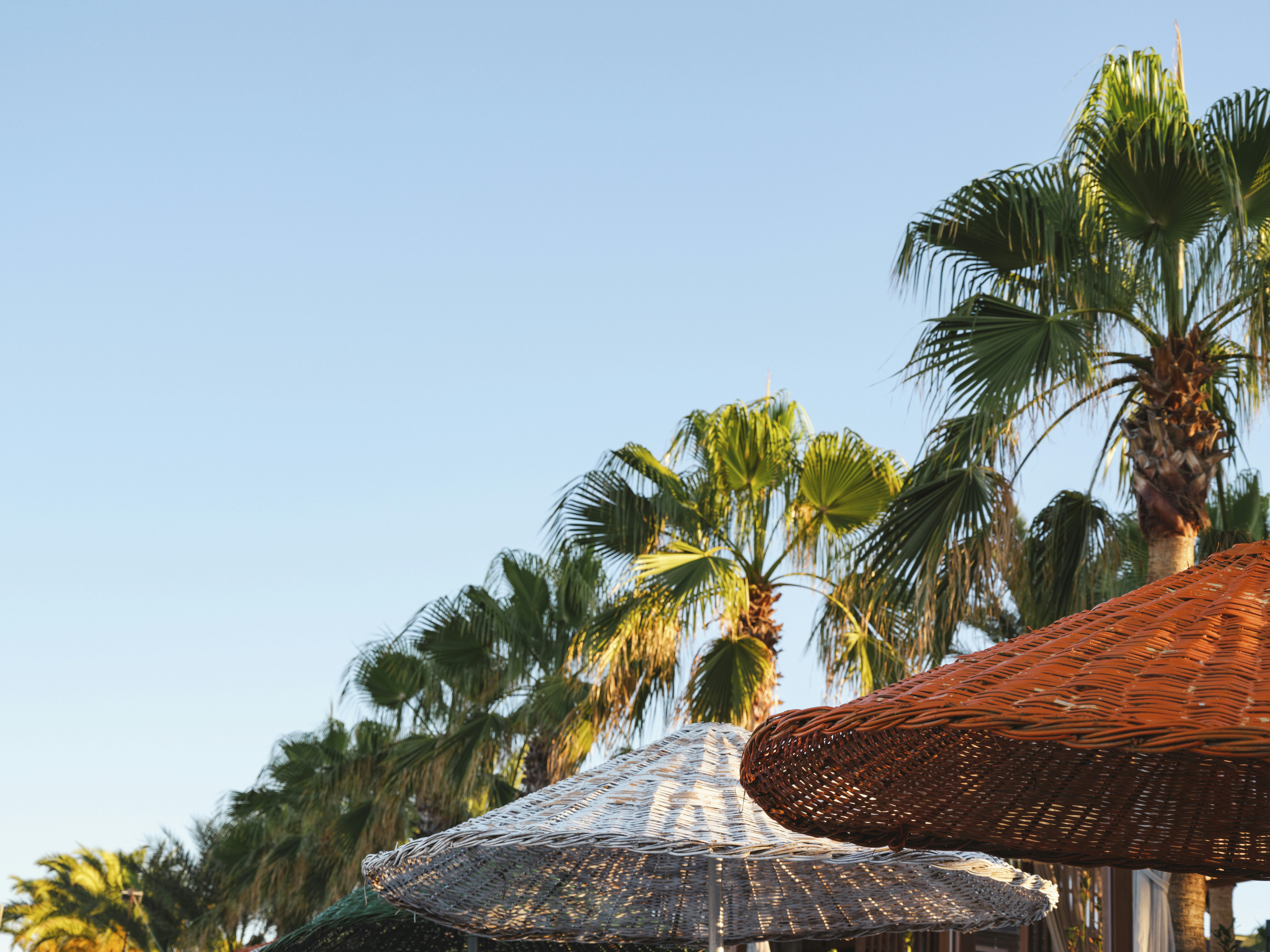 Photo by enginakyurt