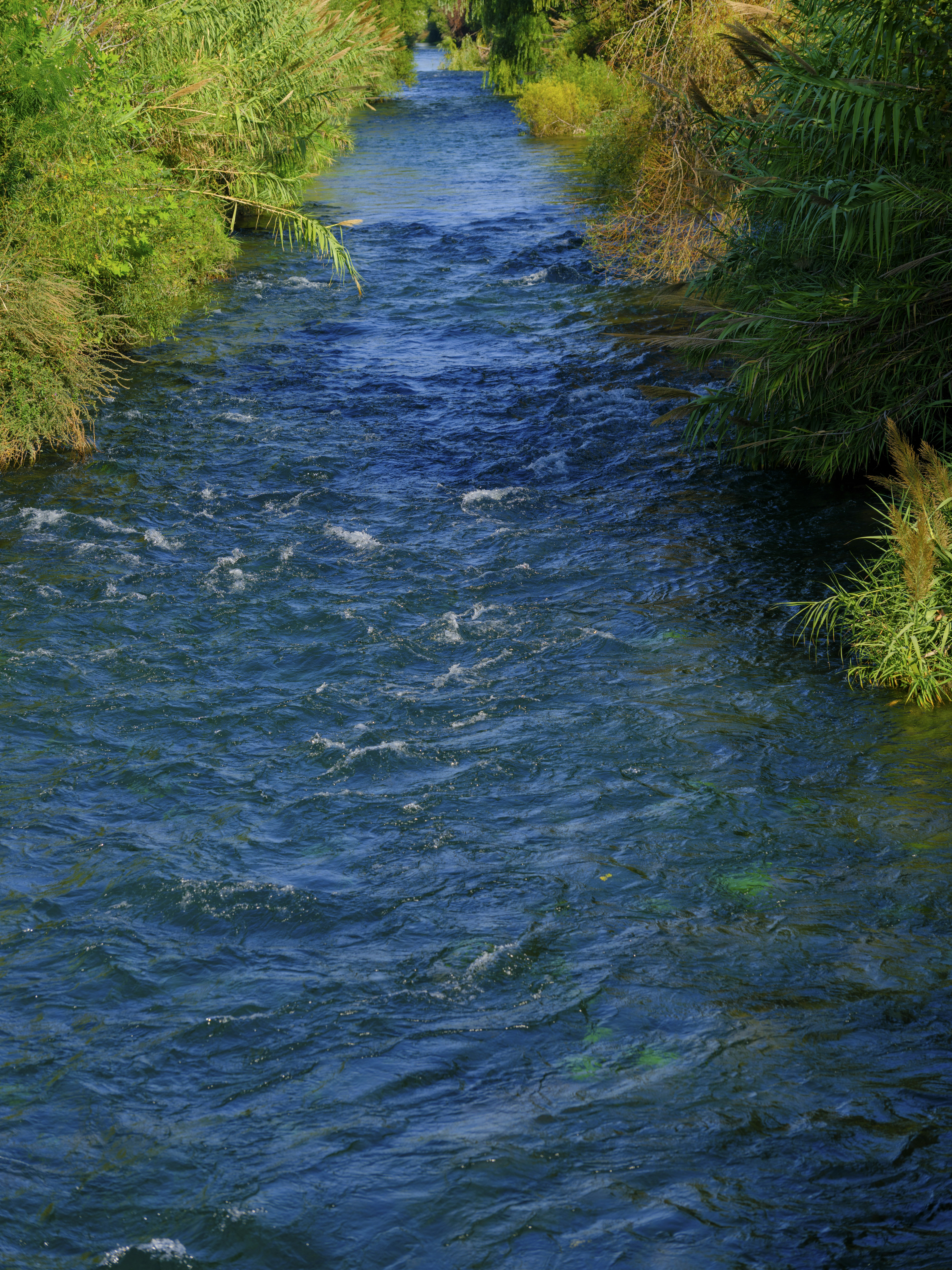 Photo by enginakyurt