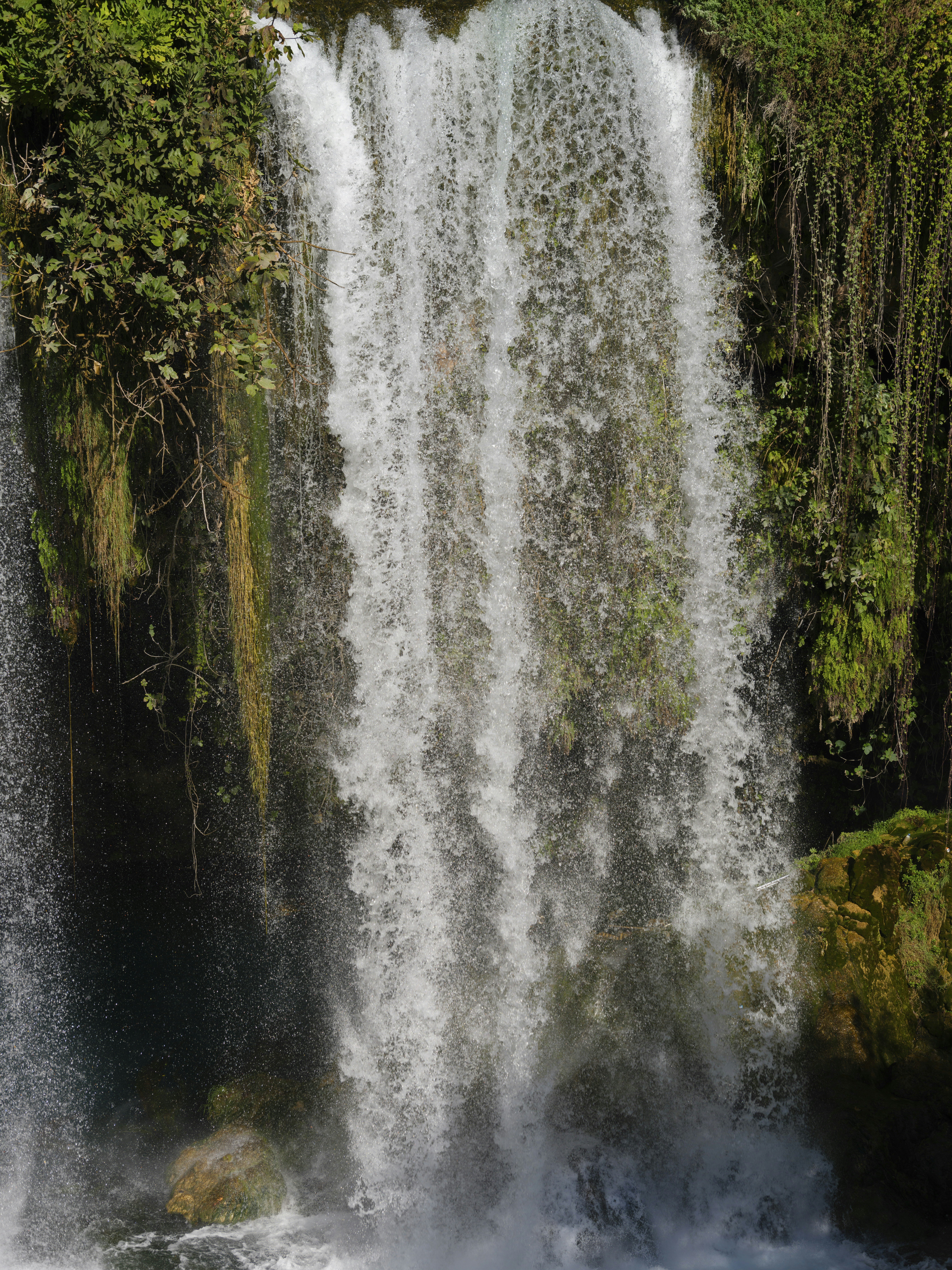 Photo by enginakyurt