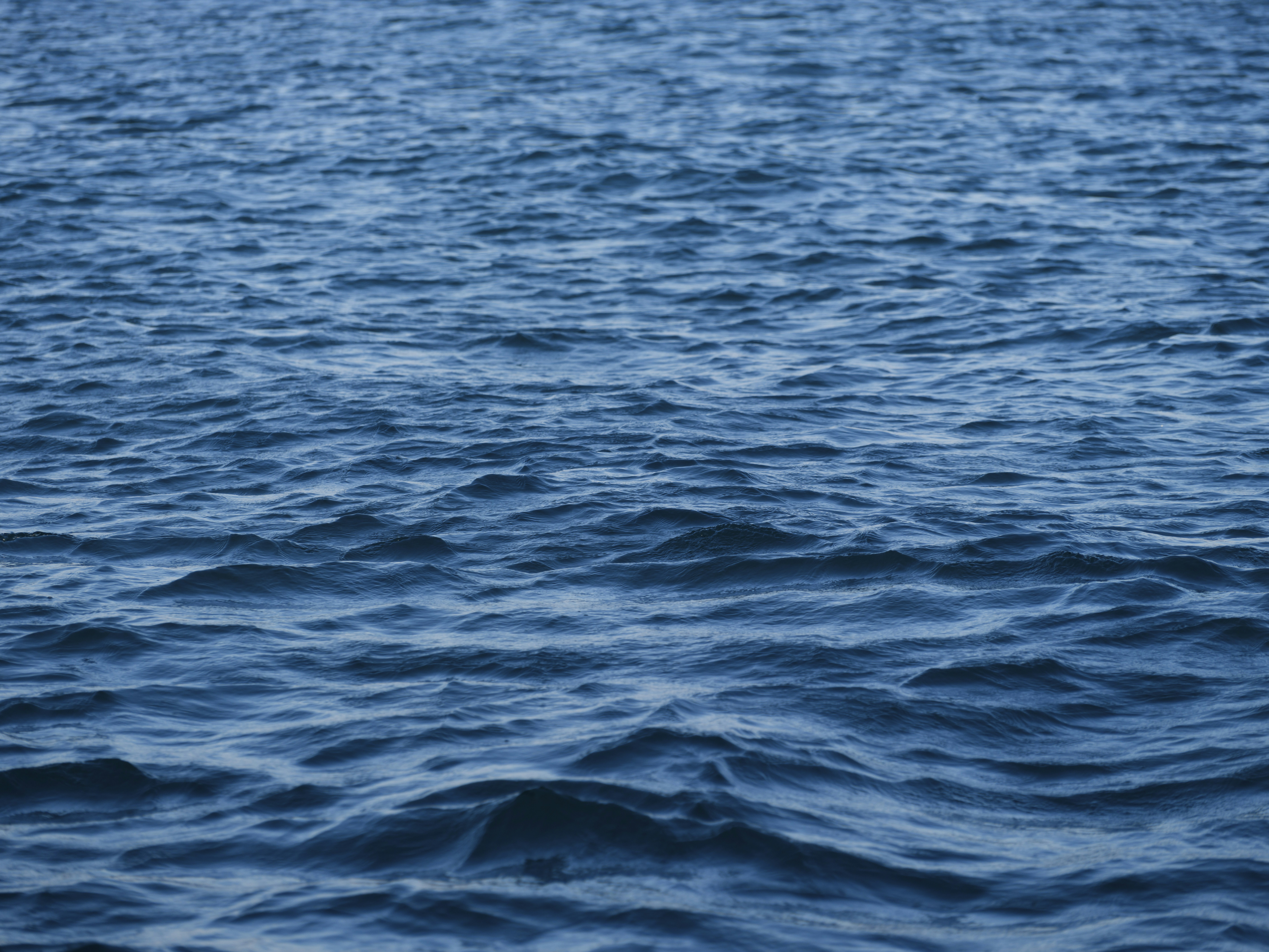 Photo by enginakyurt