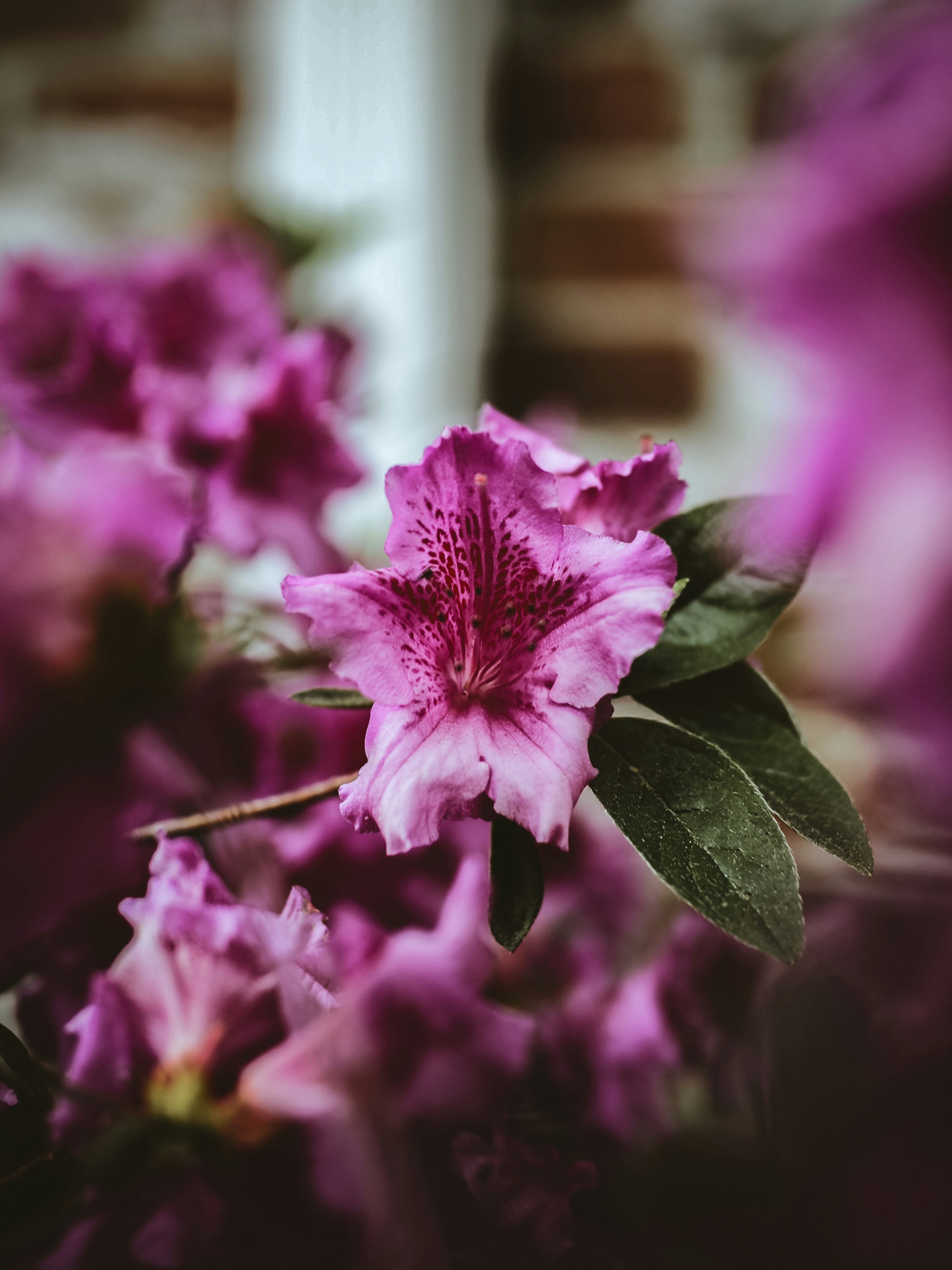 Photo by jonlanzieri