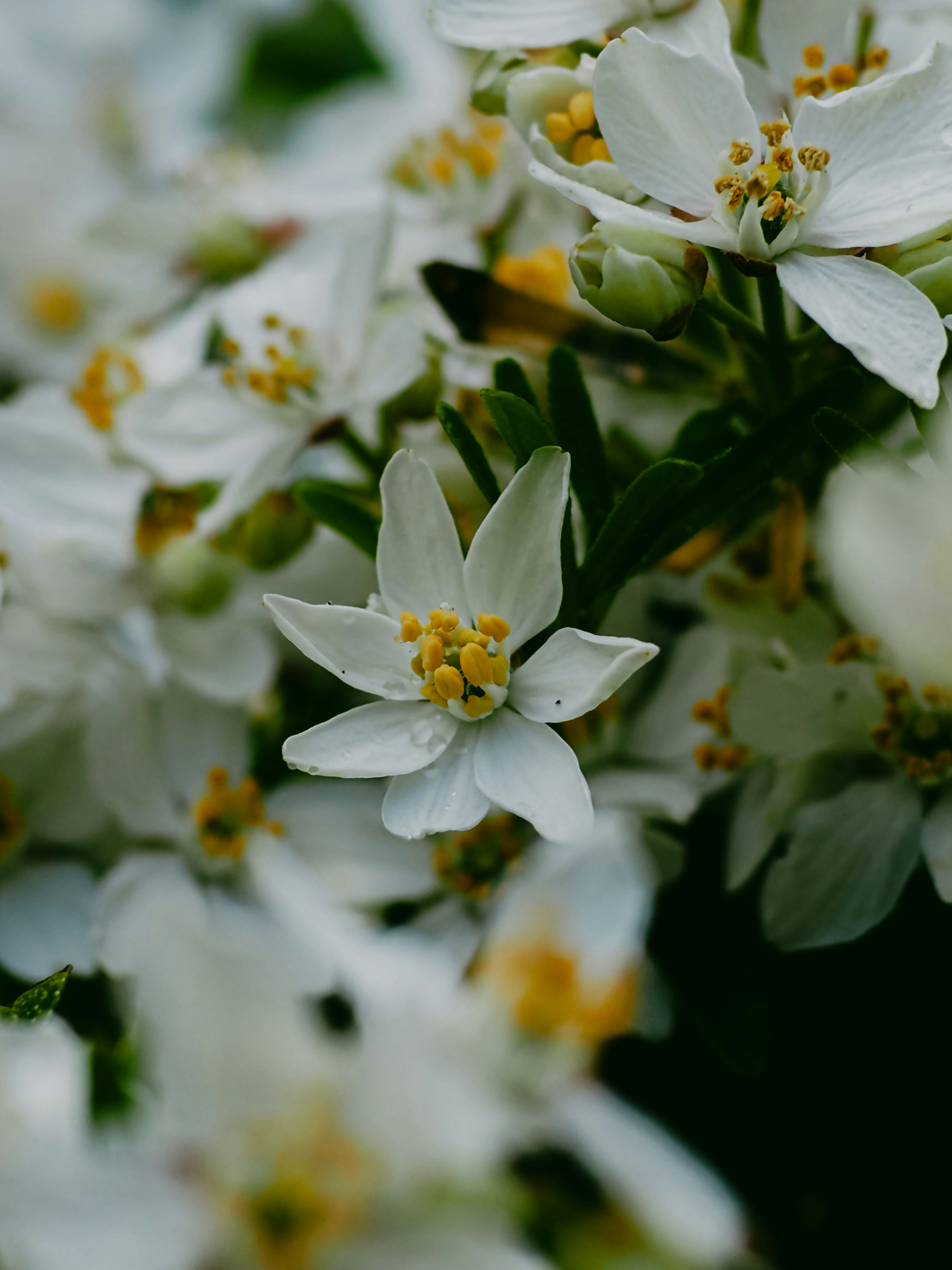 Photo by jonlanzieri