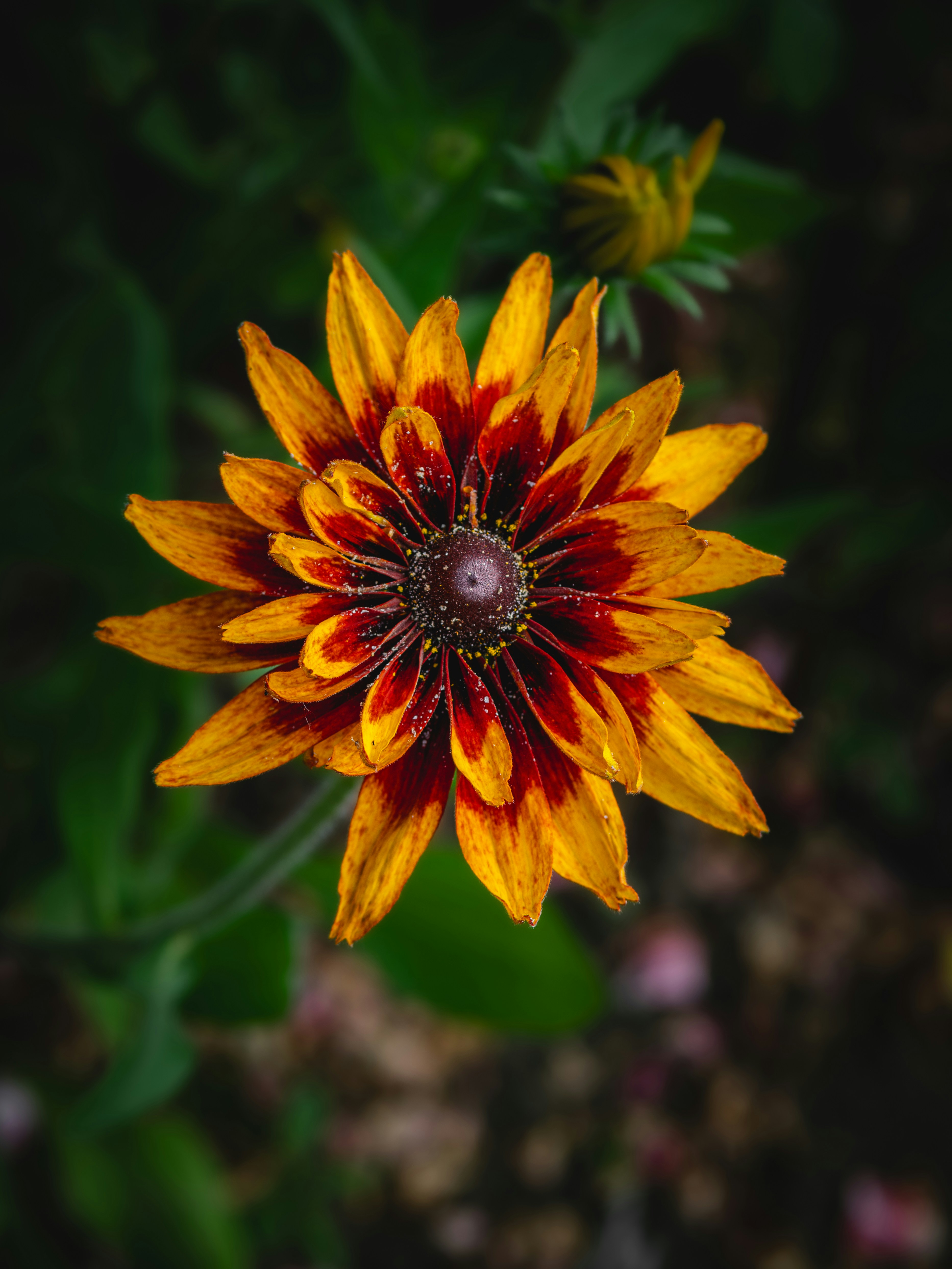 Photo by jonlanzieri