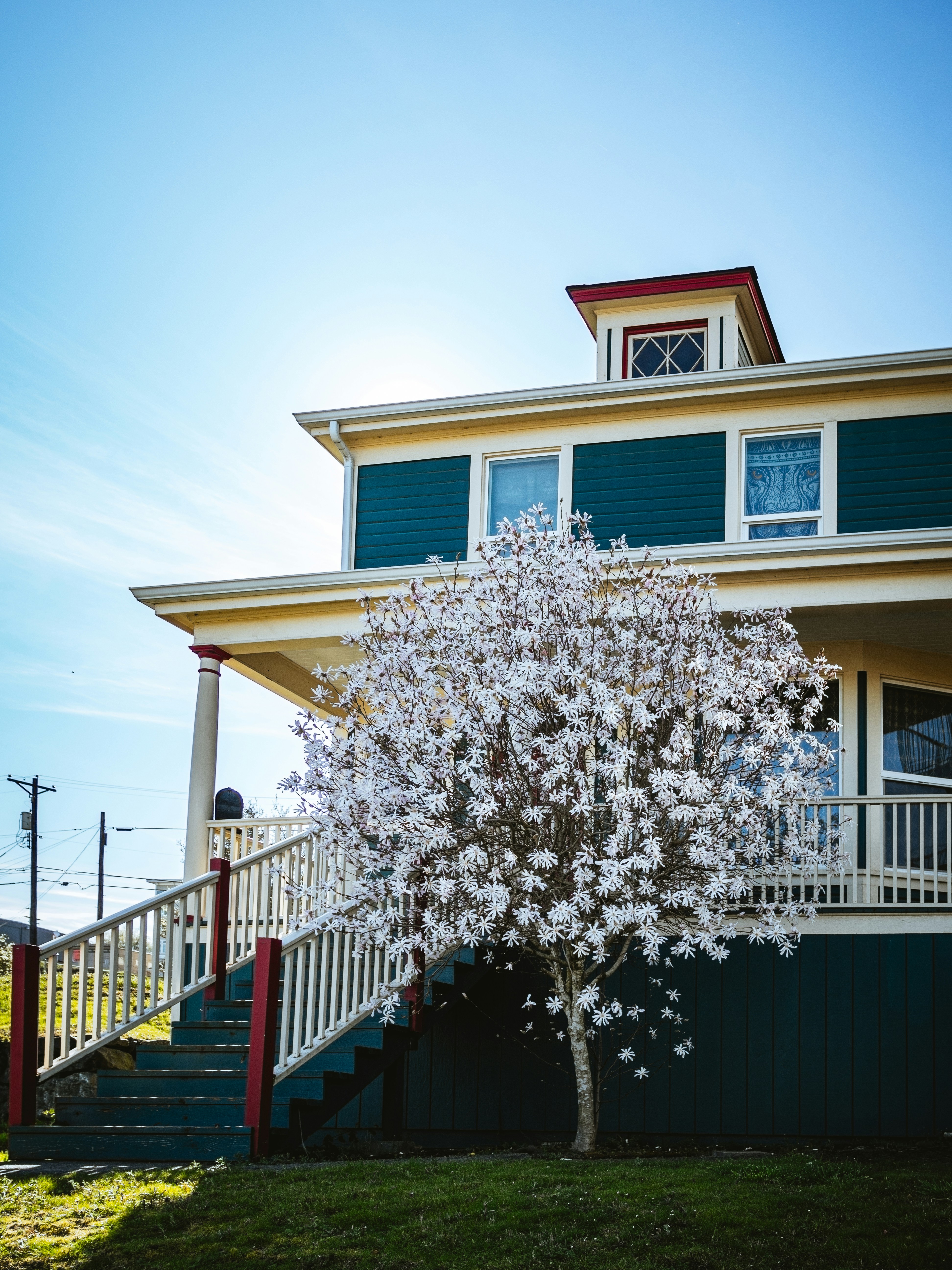 Photo by jonlanzieri