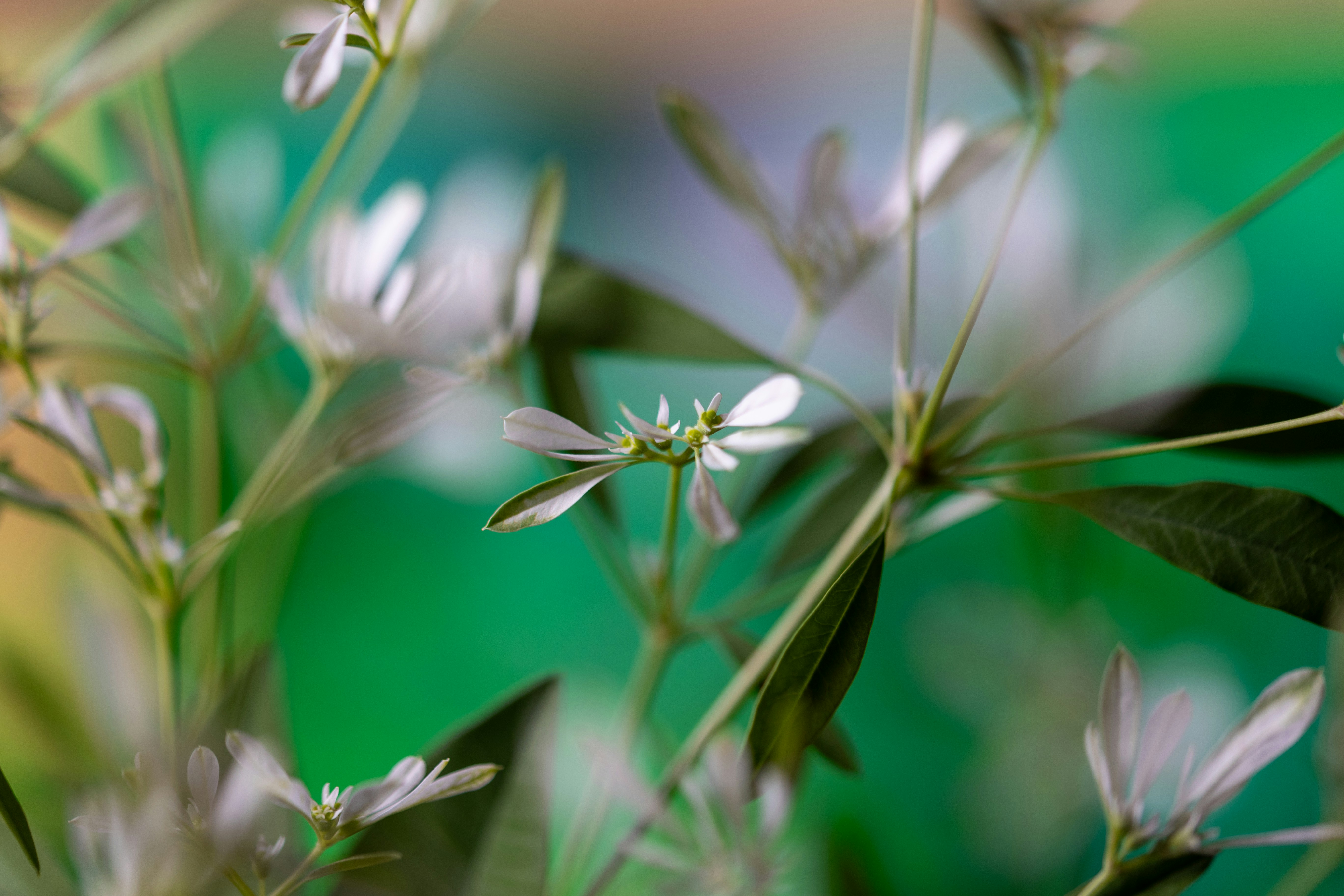 Photo by kamekichi_photos