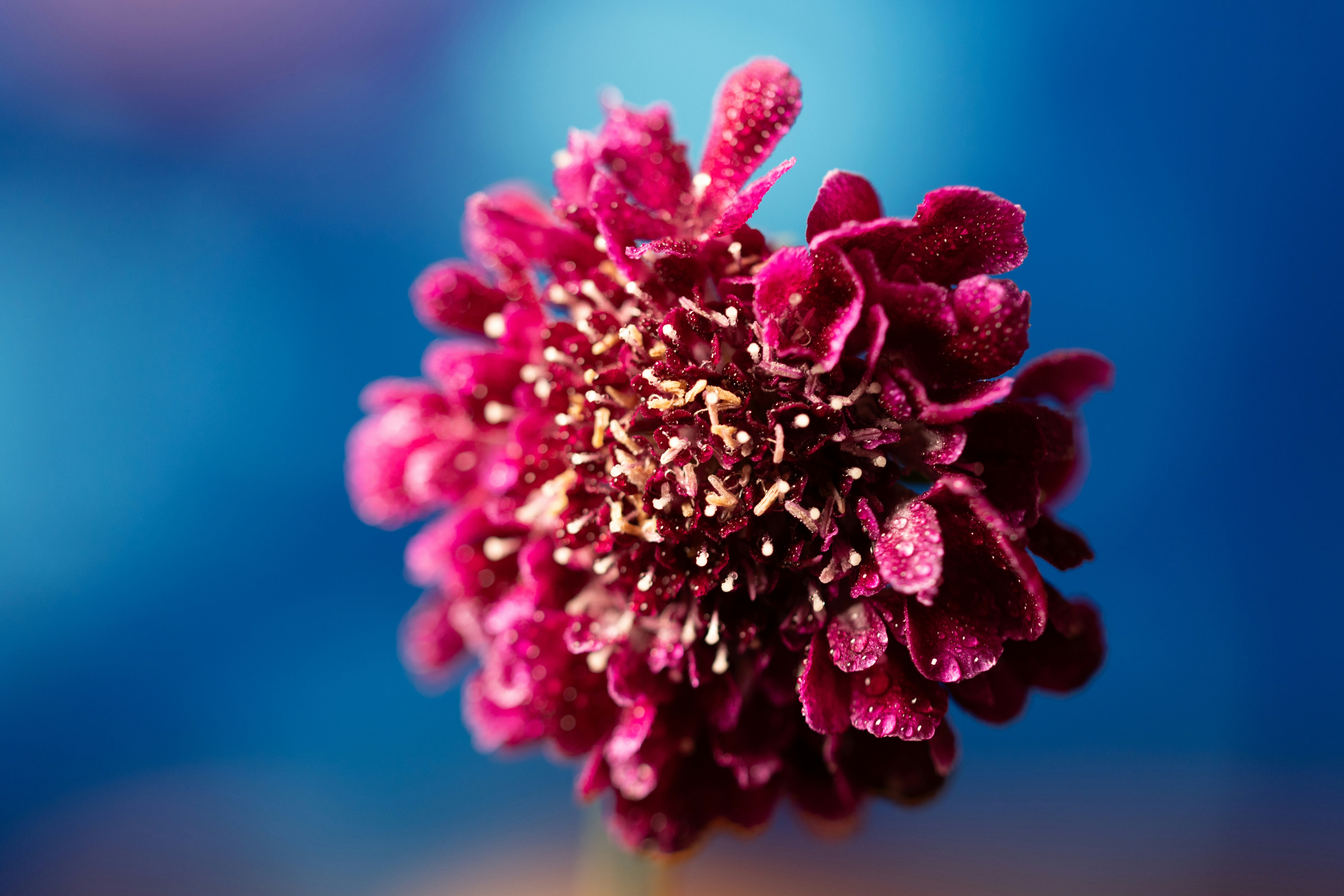 Photo by kamekichi_photos