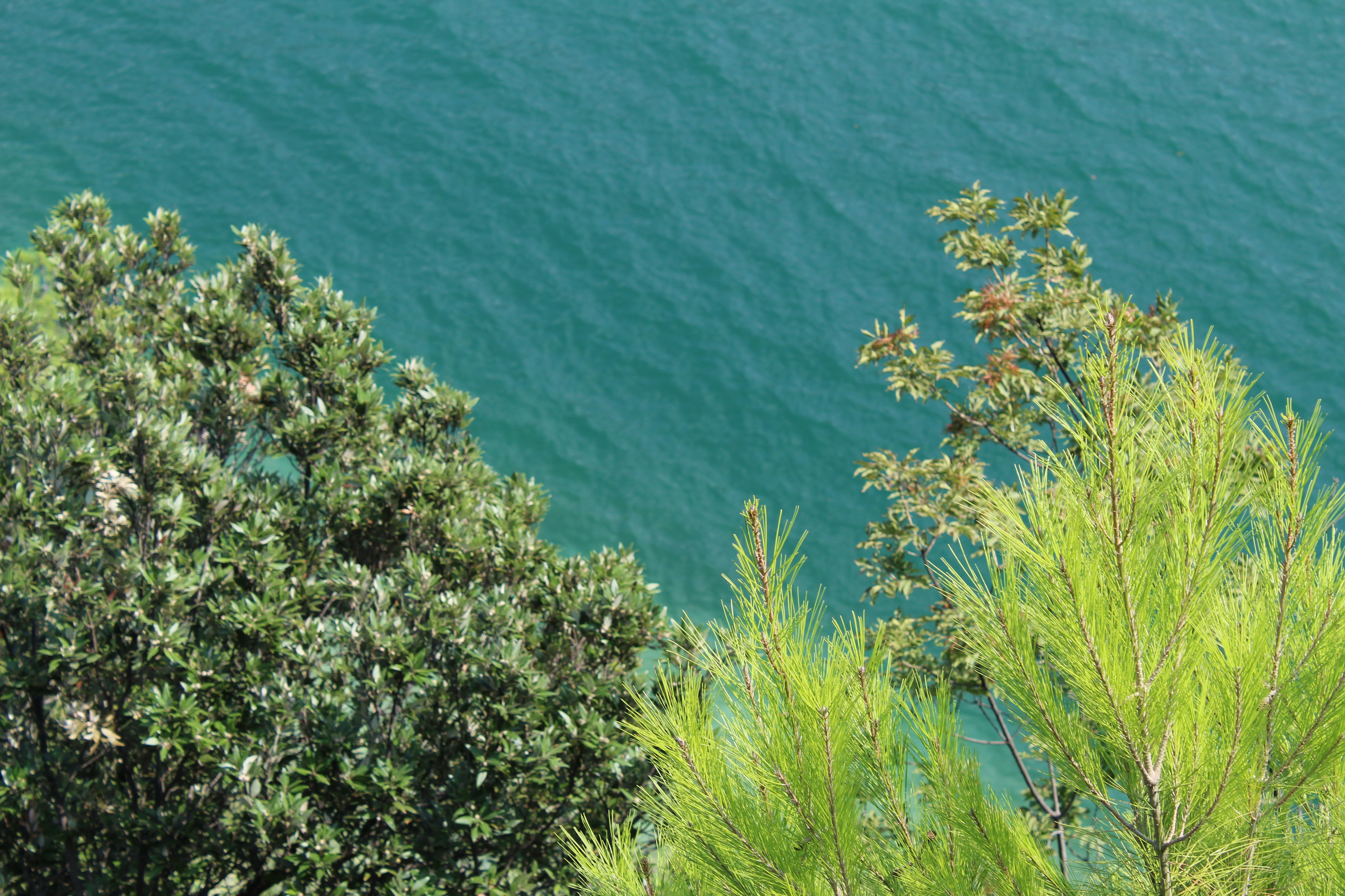 Photo by enricofumagalli