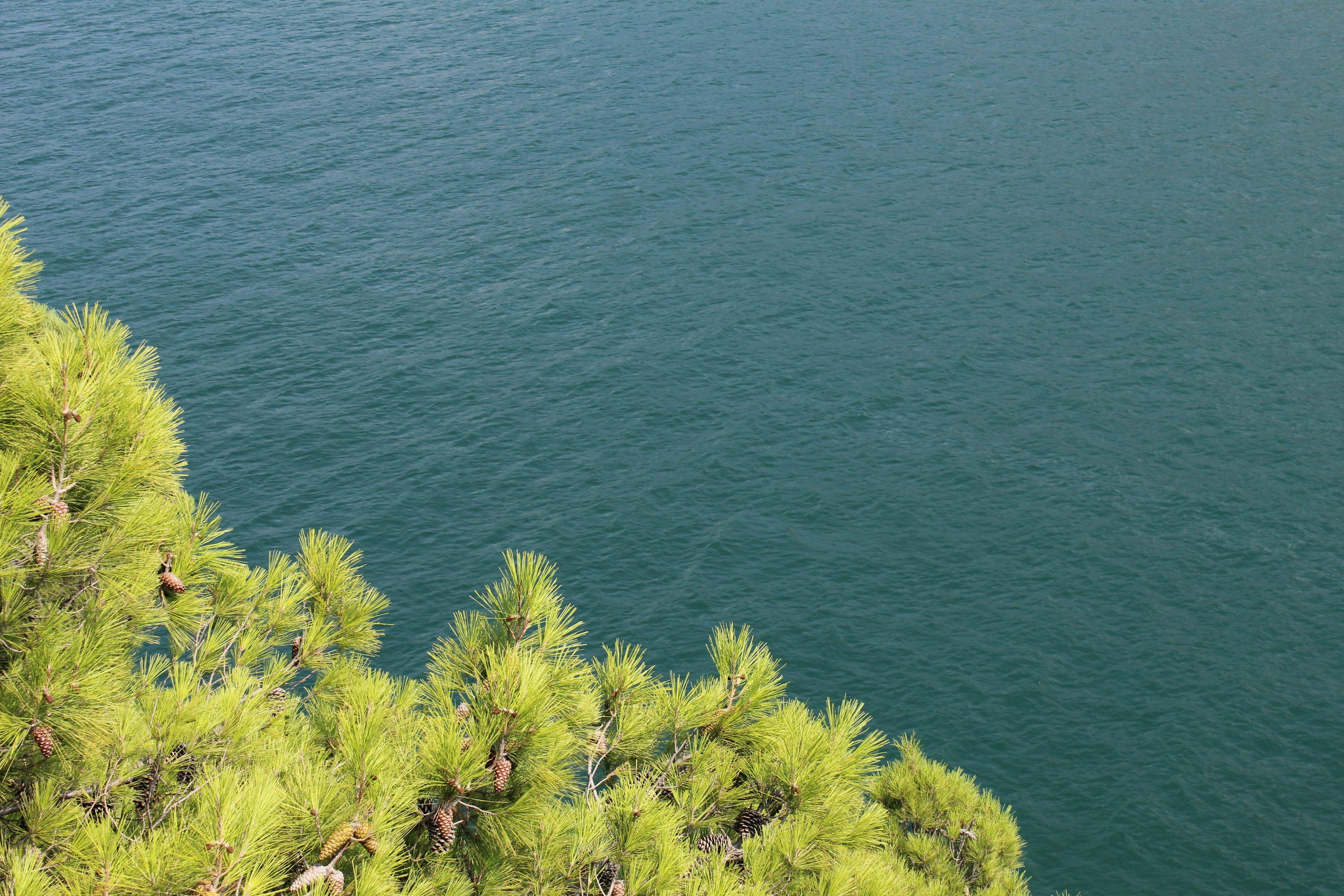 Photo by enricofumagalli