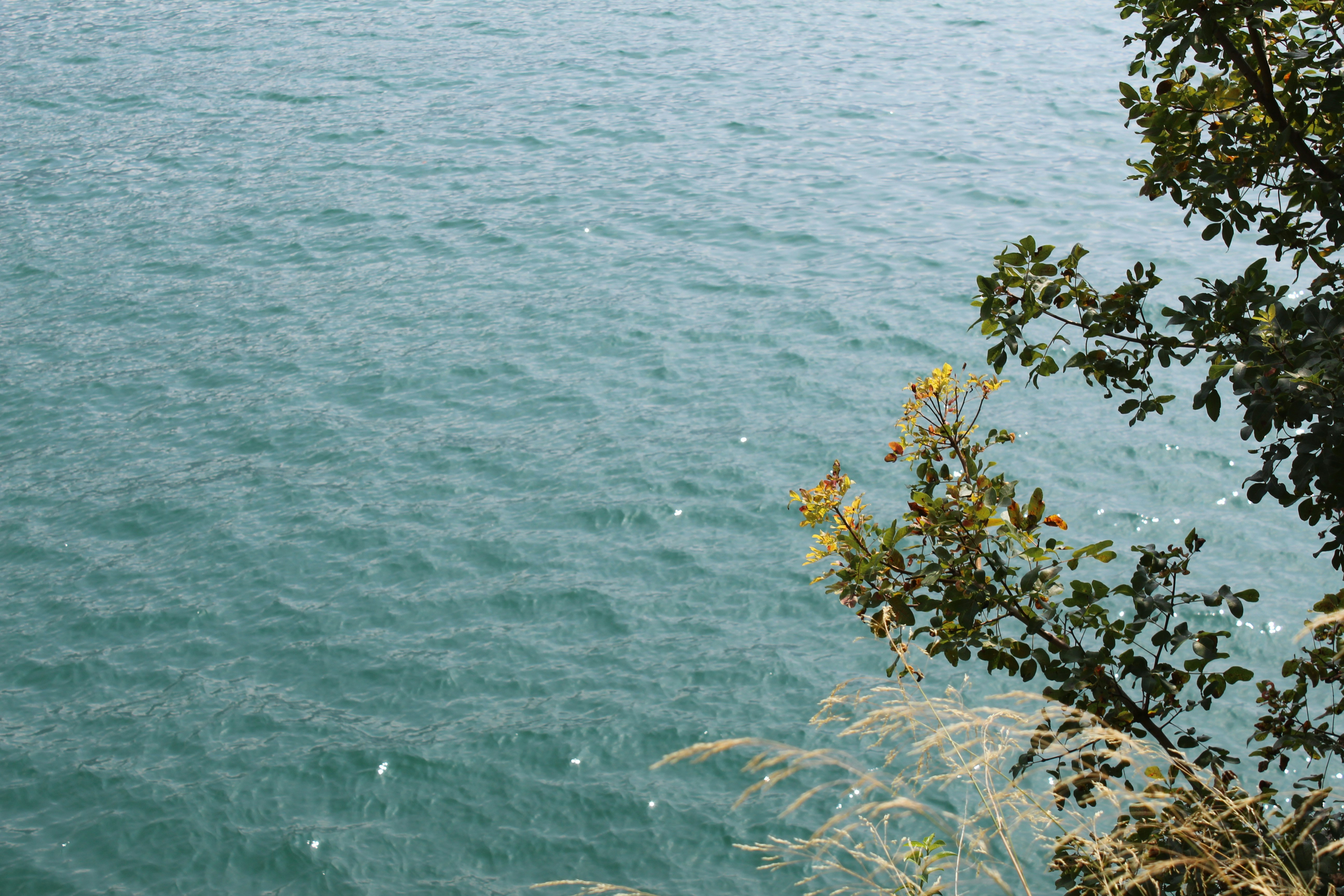 Photo by enricofumagalli