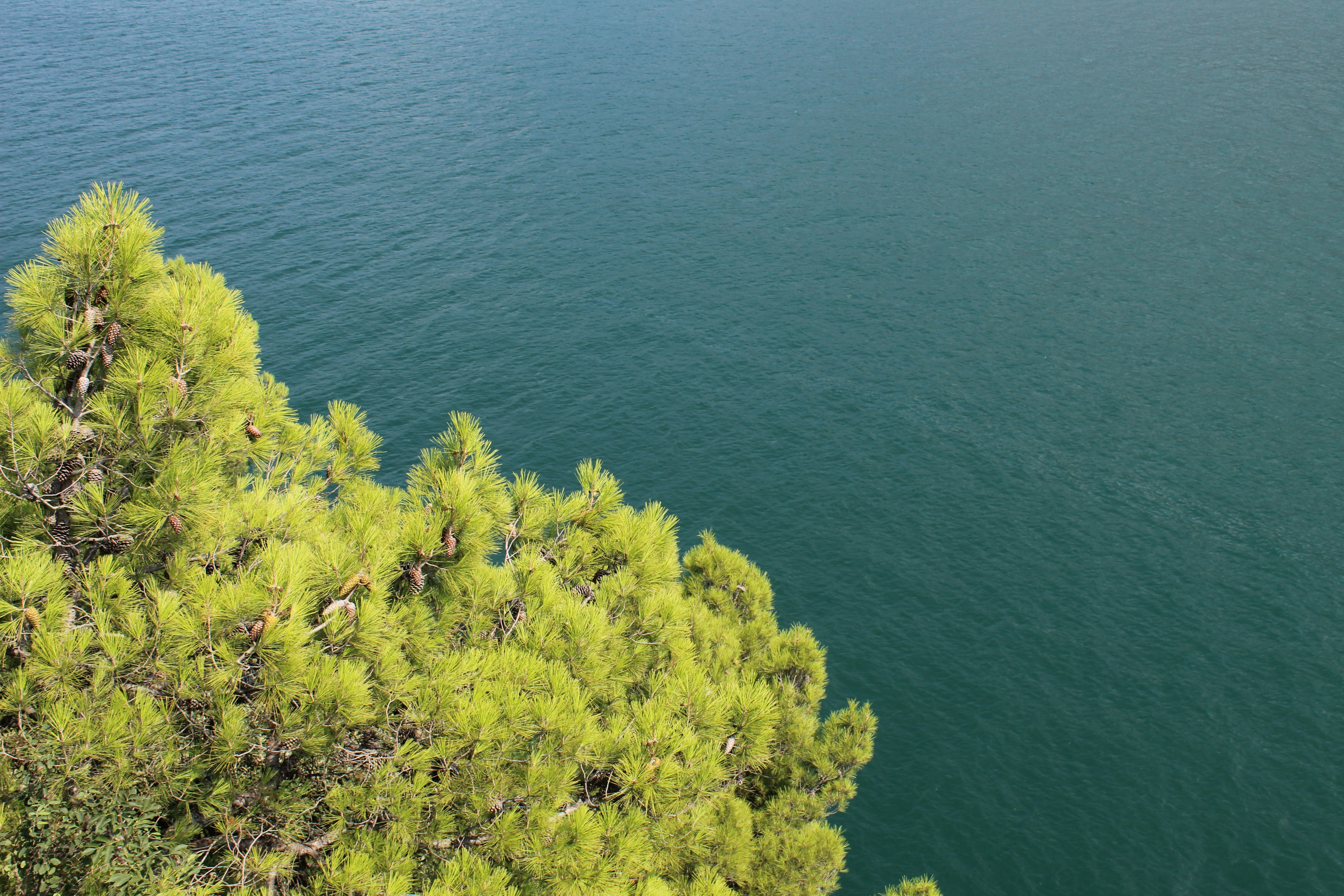 Photo by enricofumagalli