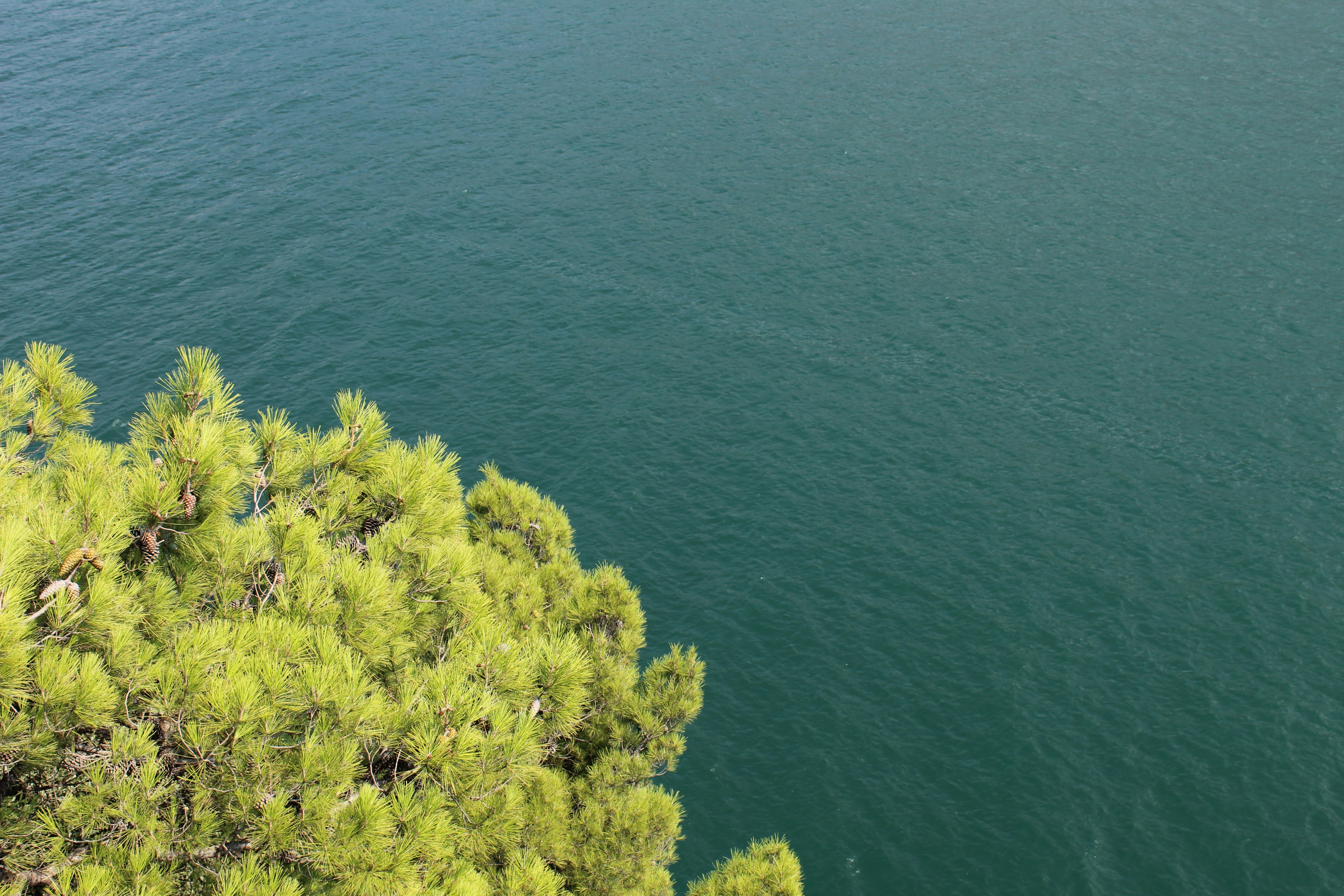 Photo by enricofumagalli