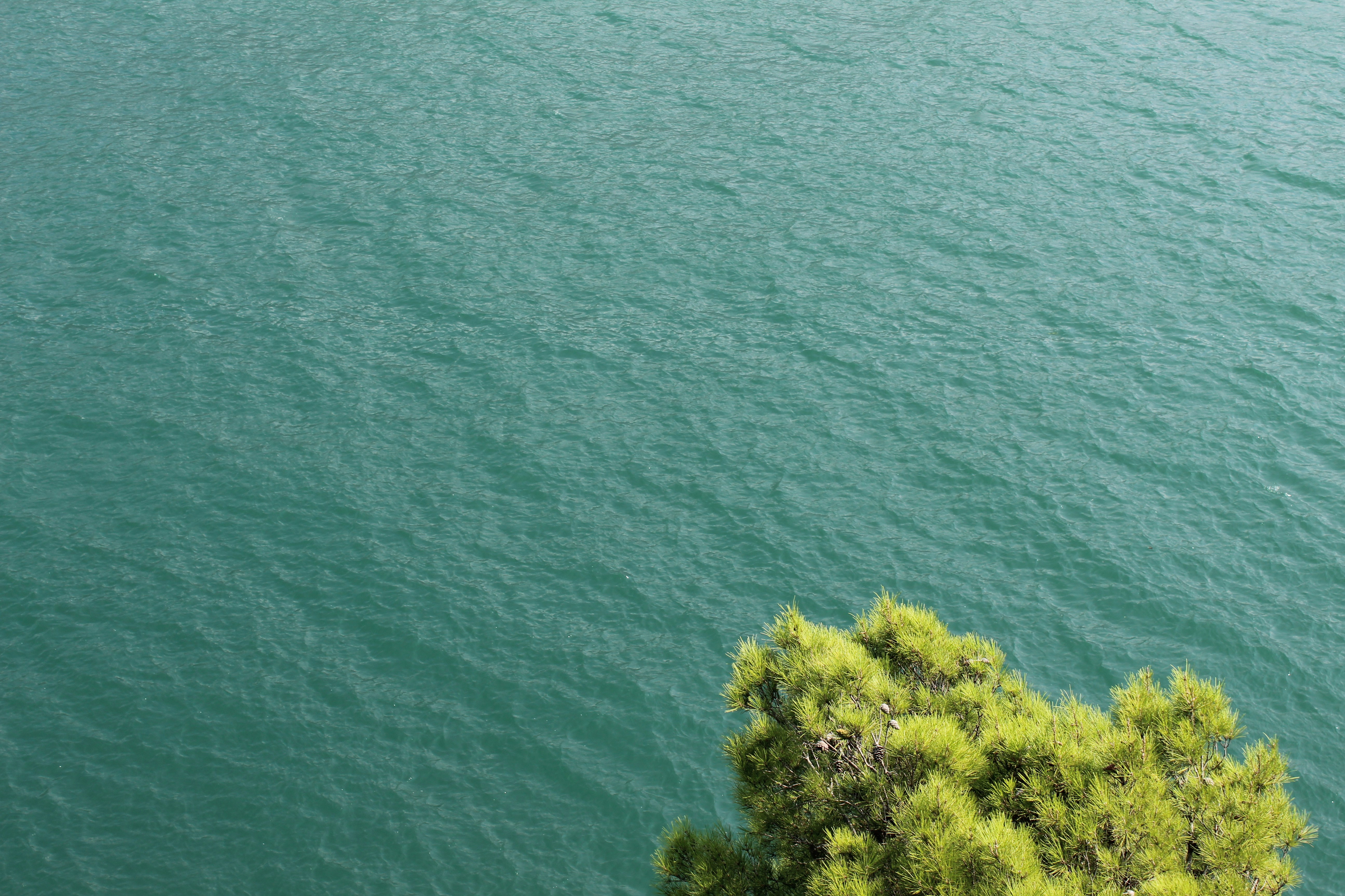 Photo by enricofumagalli