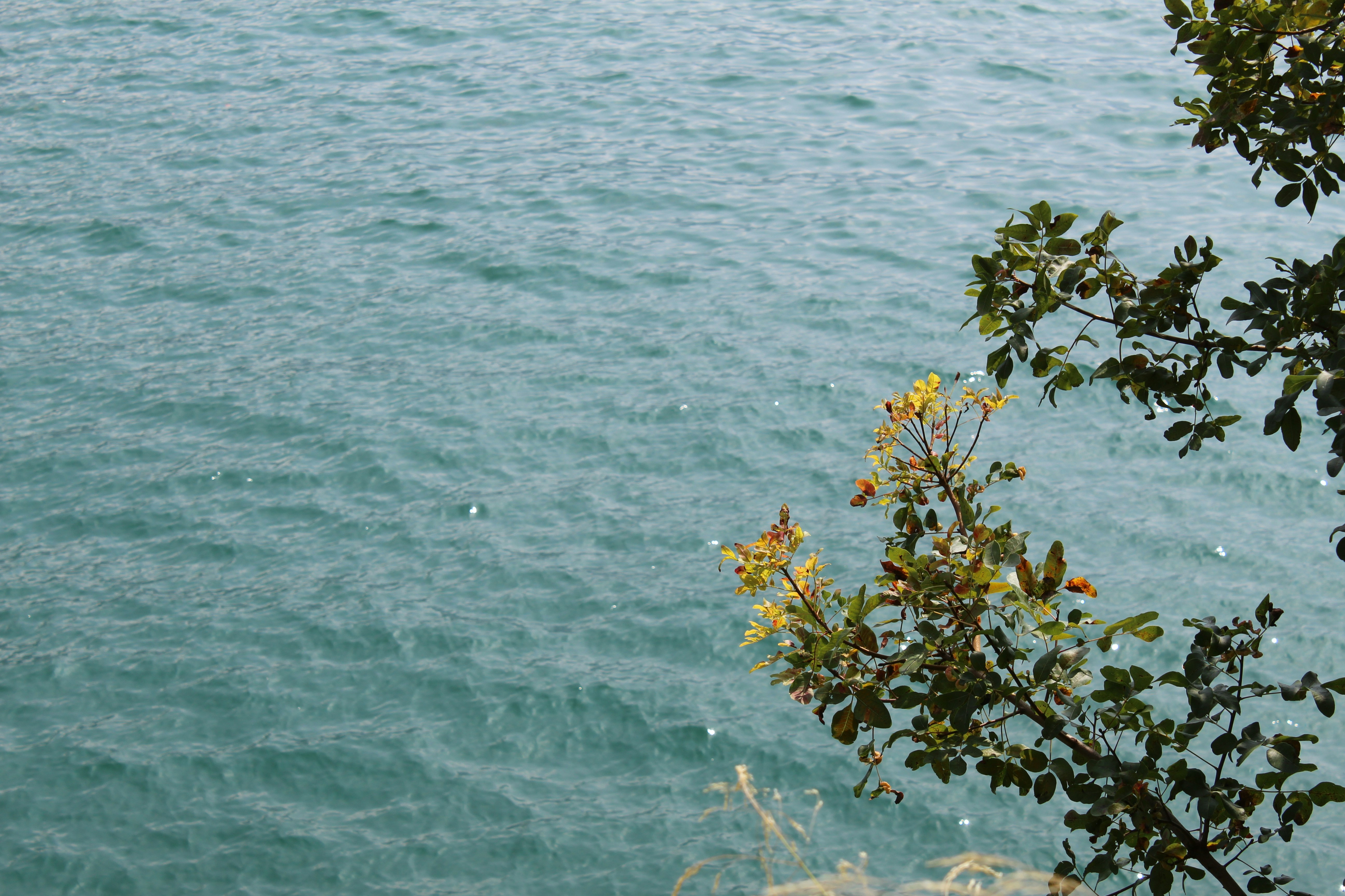 Photo by enricofumagalli