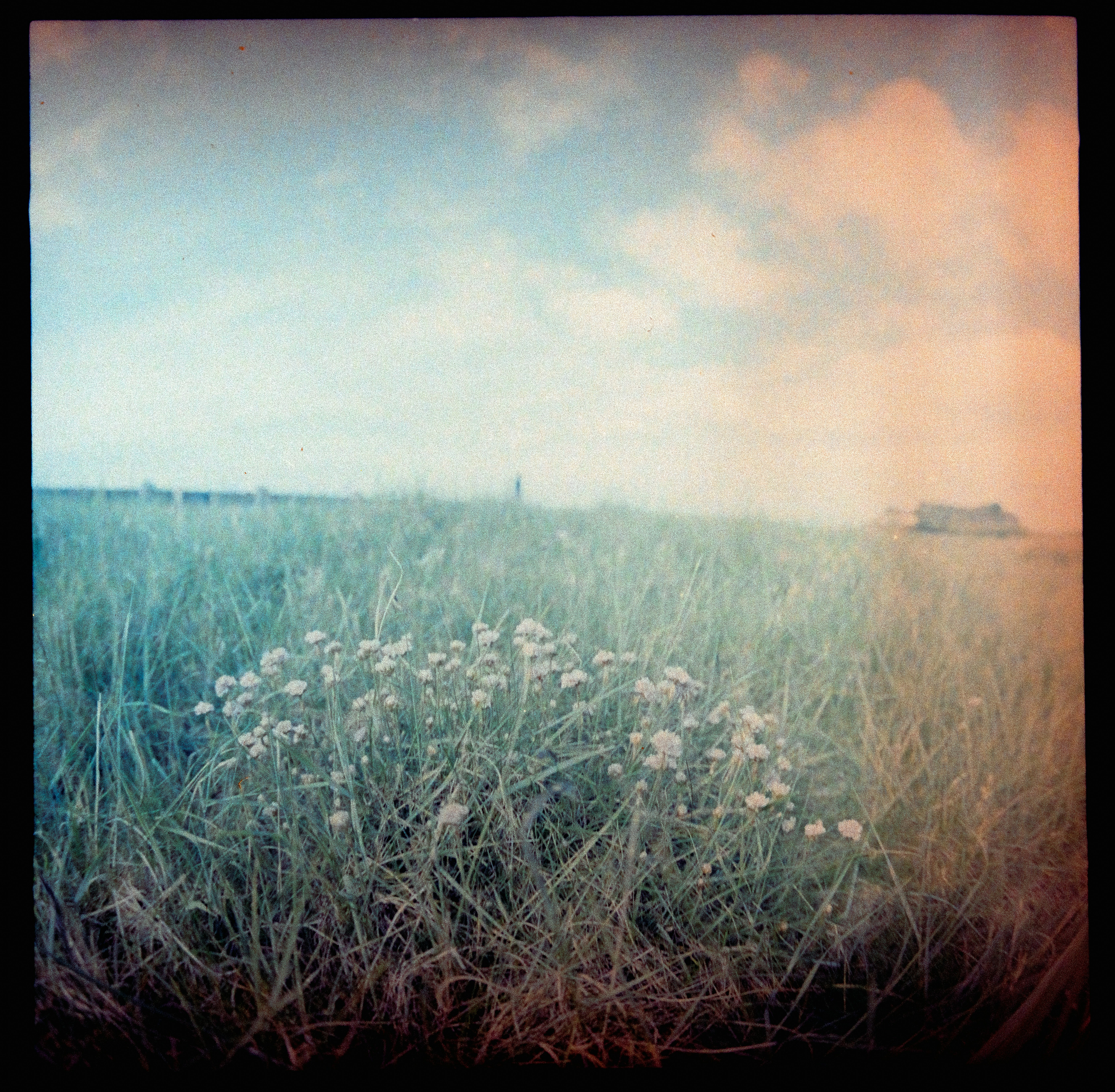 Photo by anniespratt