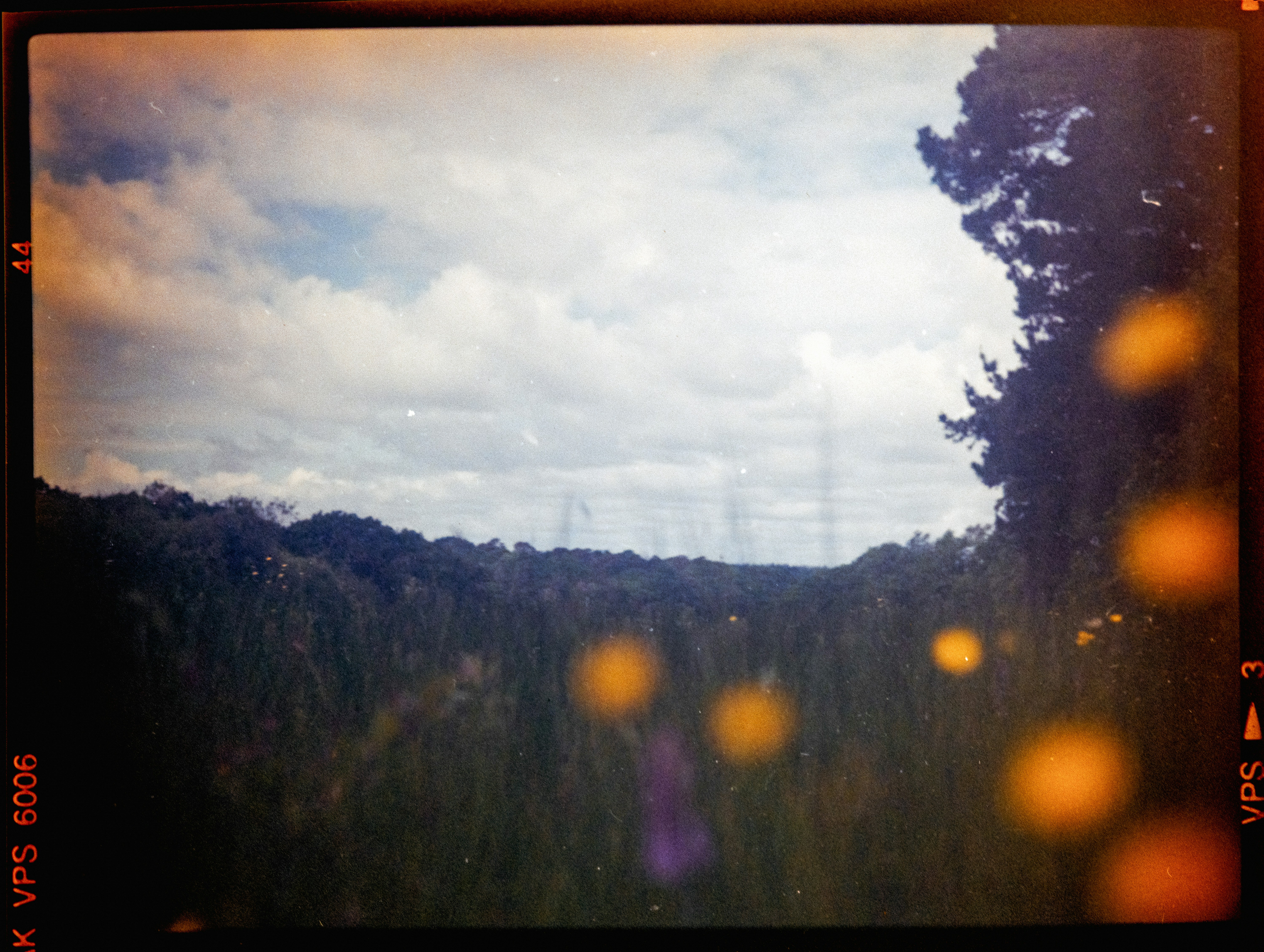 Photo by anniespratt