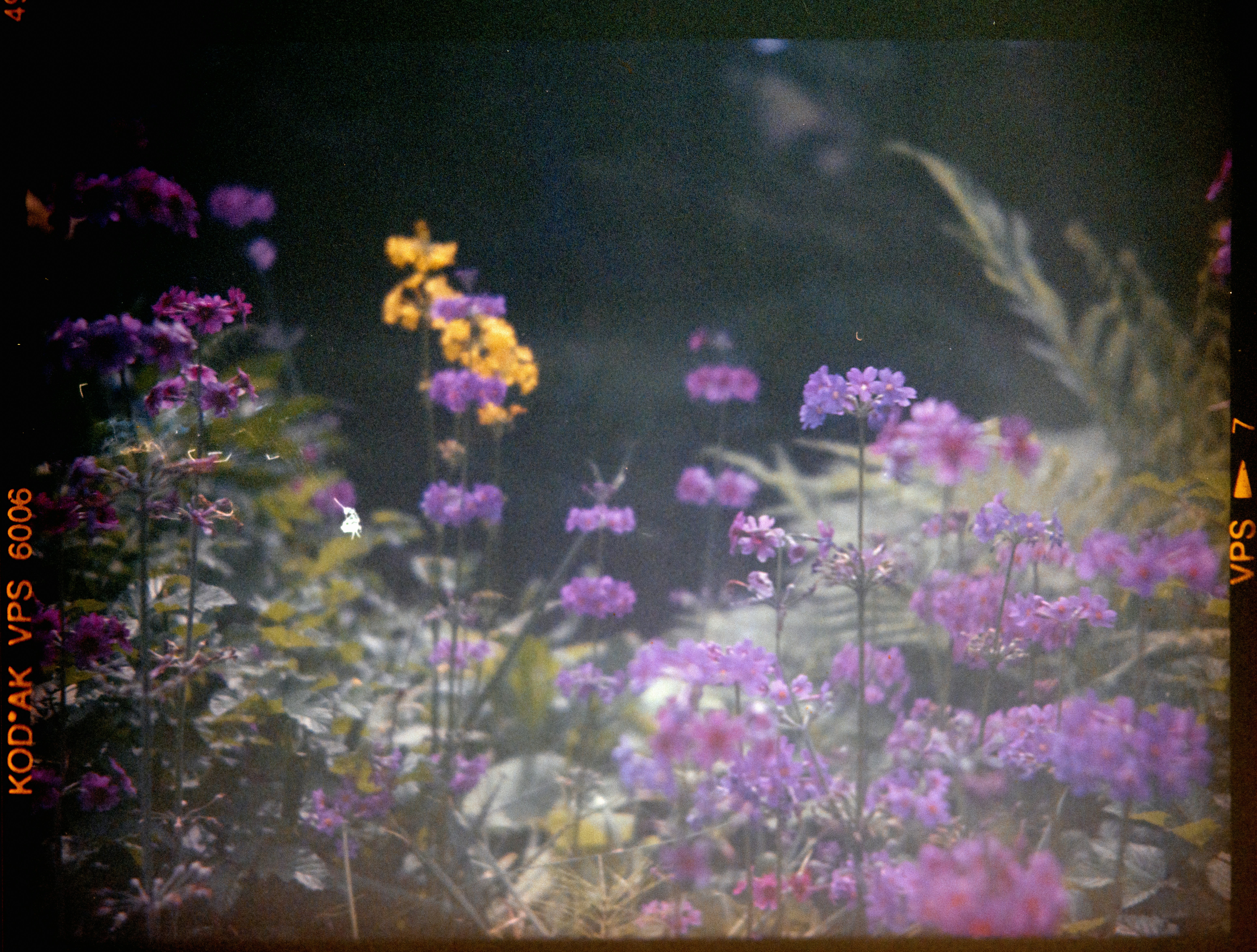 Photo by anniespratt