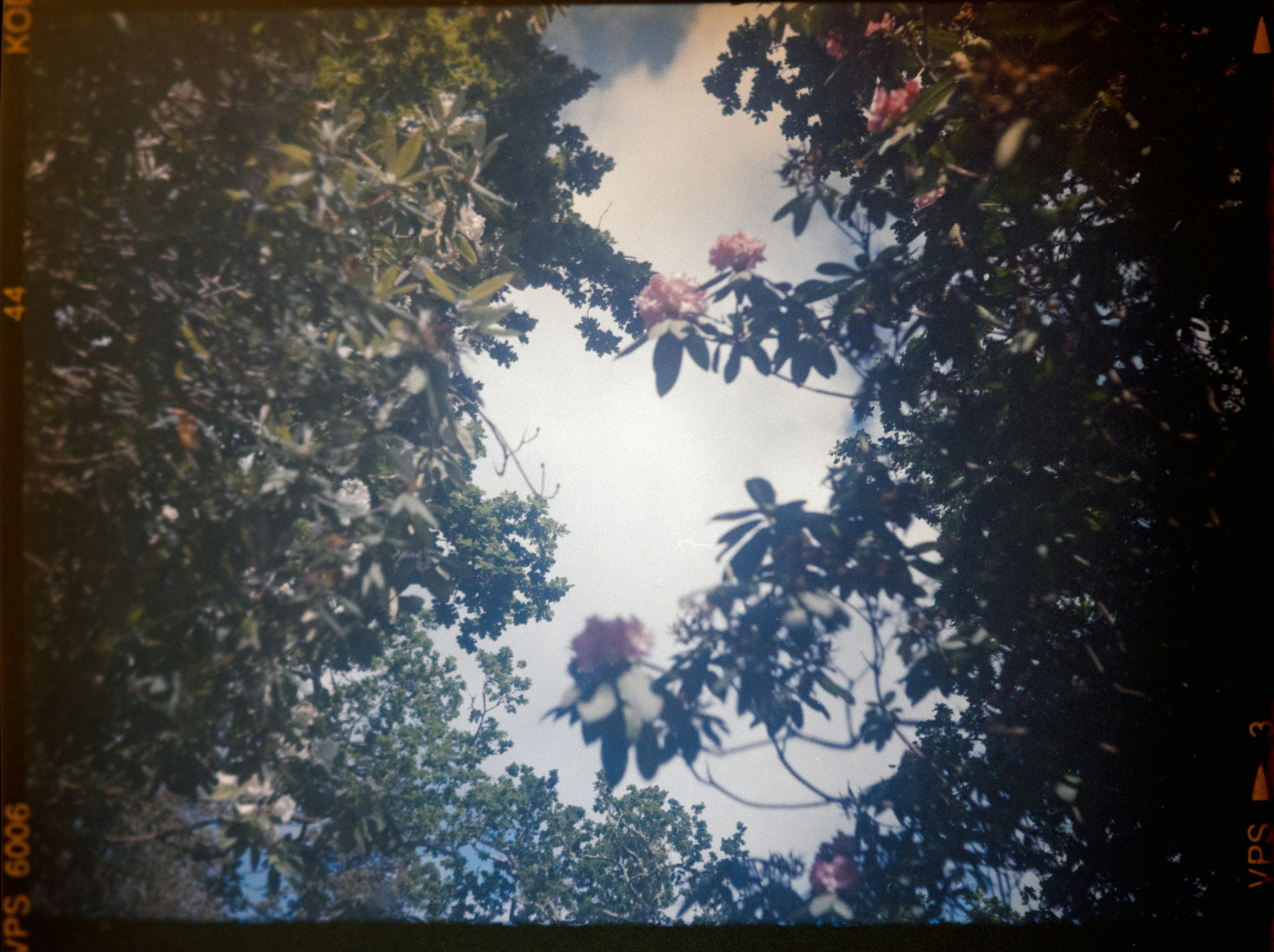 The Rise of VPS Hosting: Why Businesses Should Invest Now