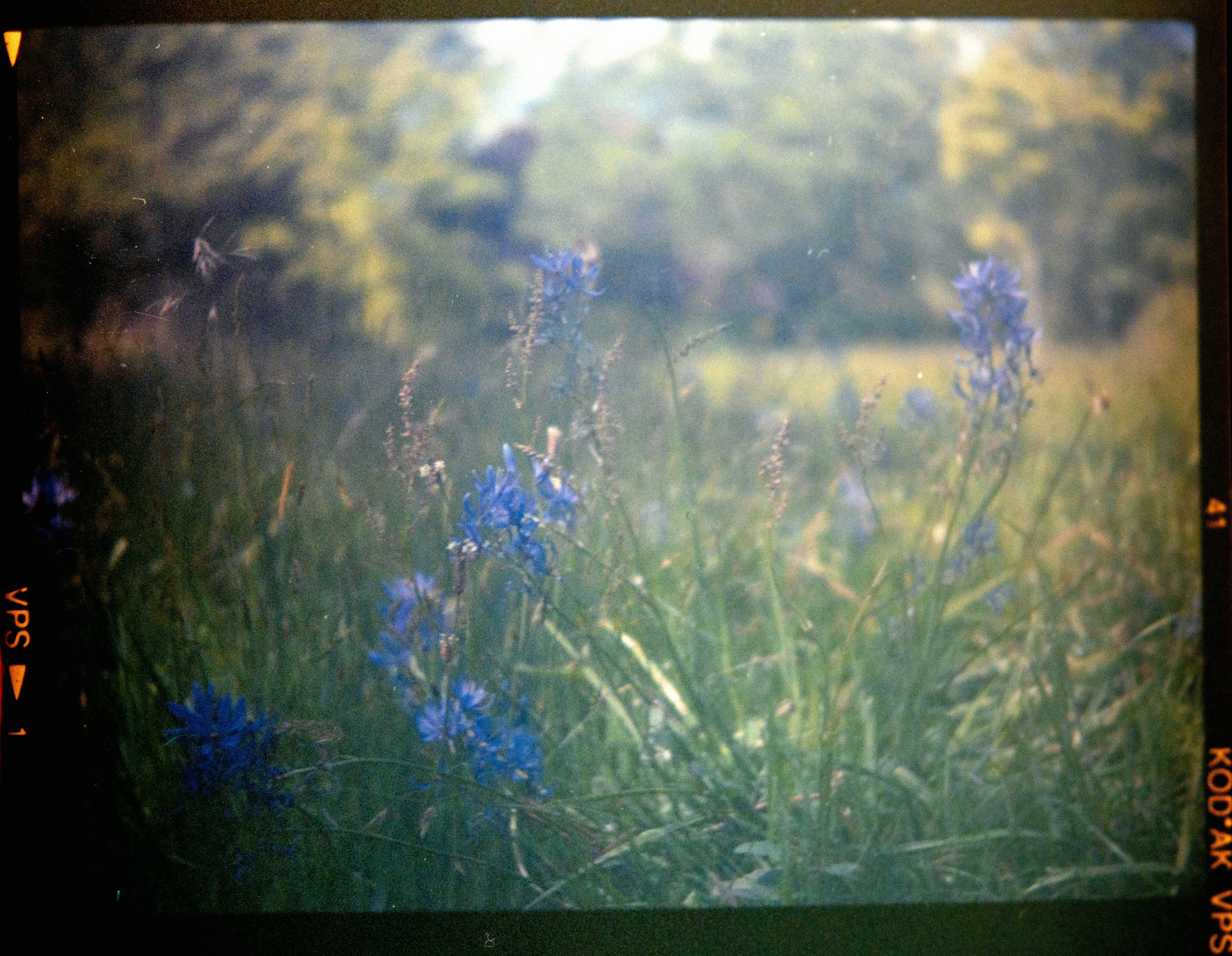 Photo by anniespratt