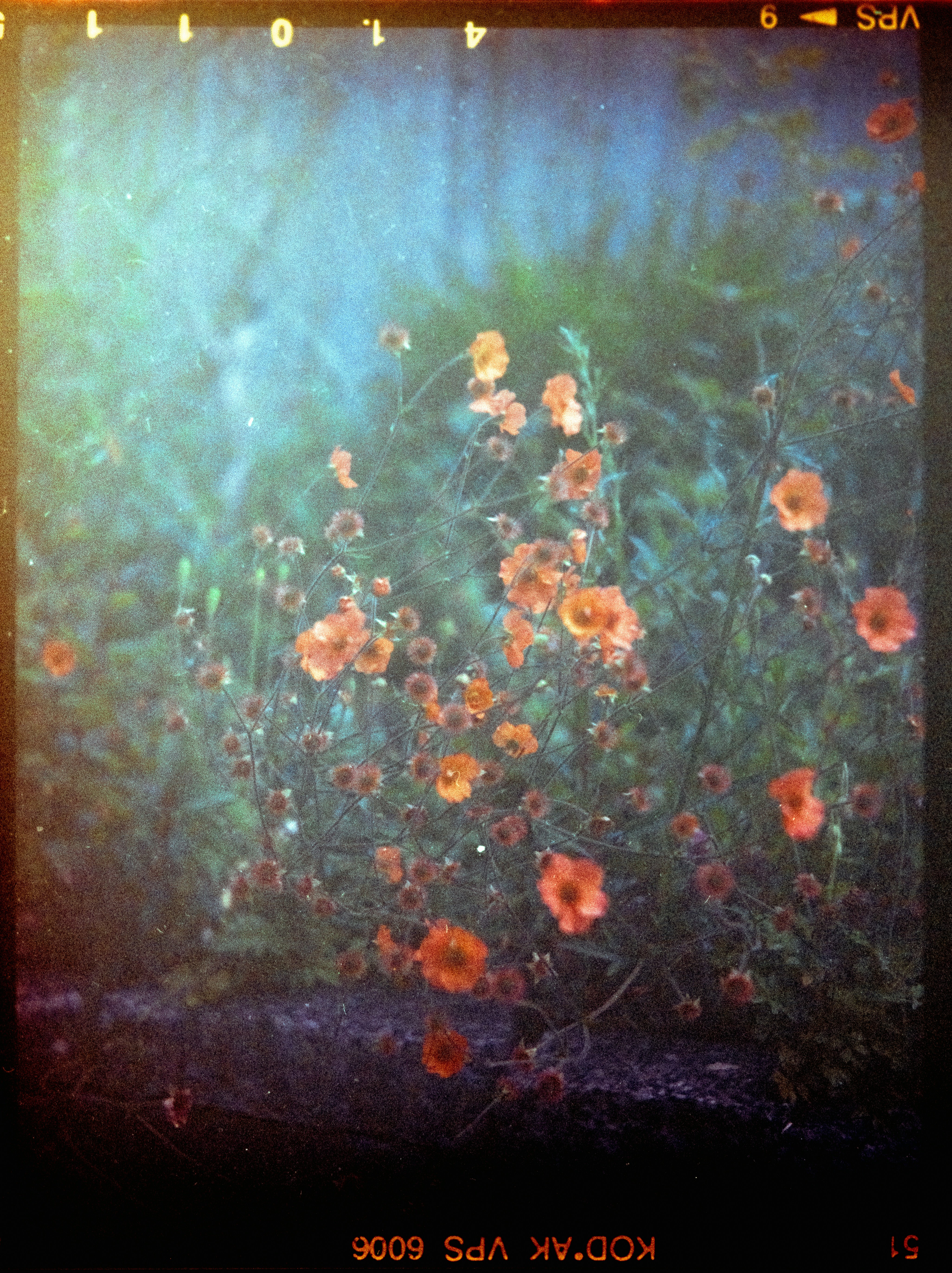 Photo by anniespratt