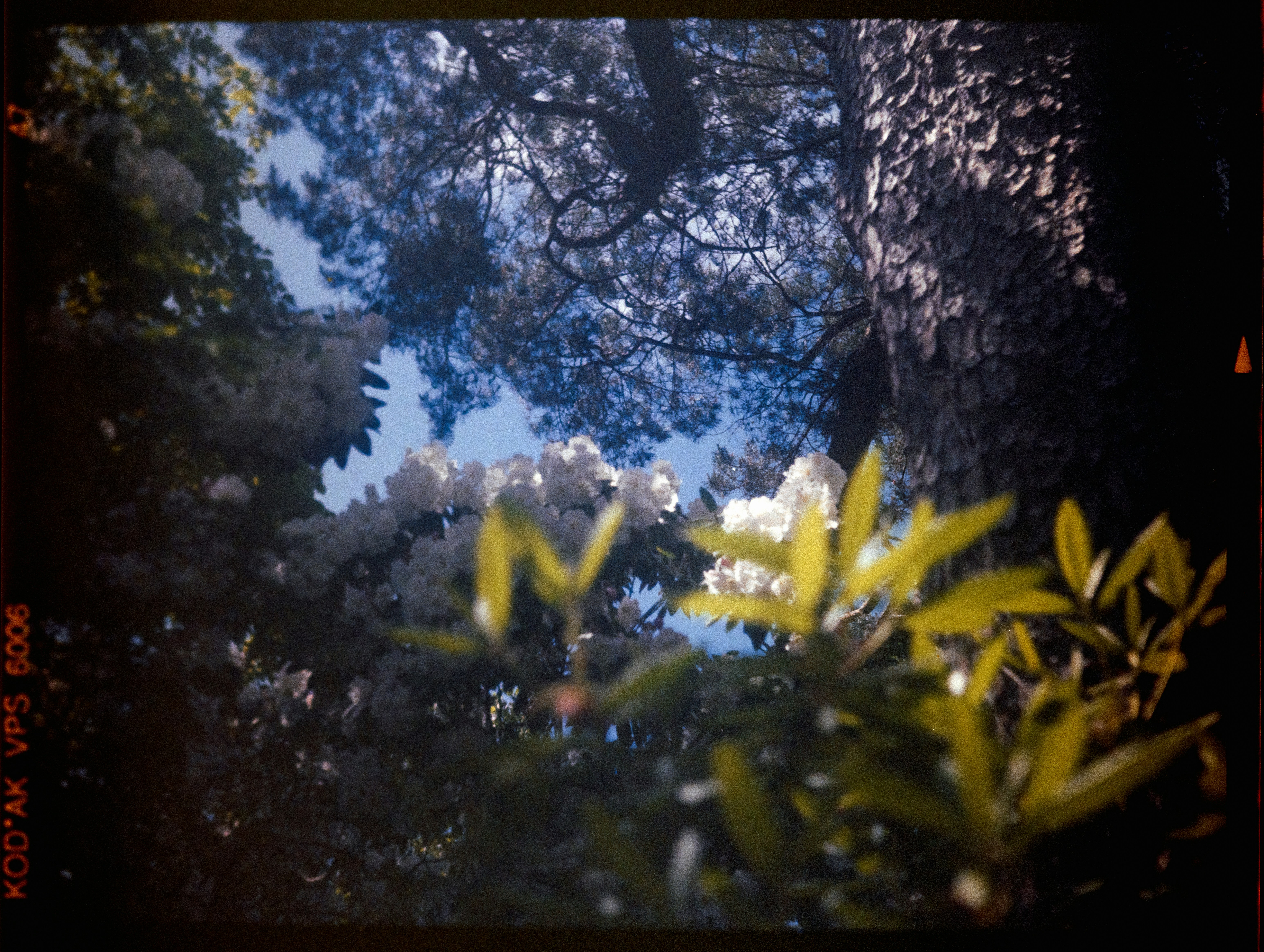 Photo by anniespratt