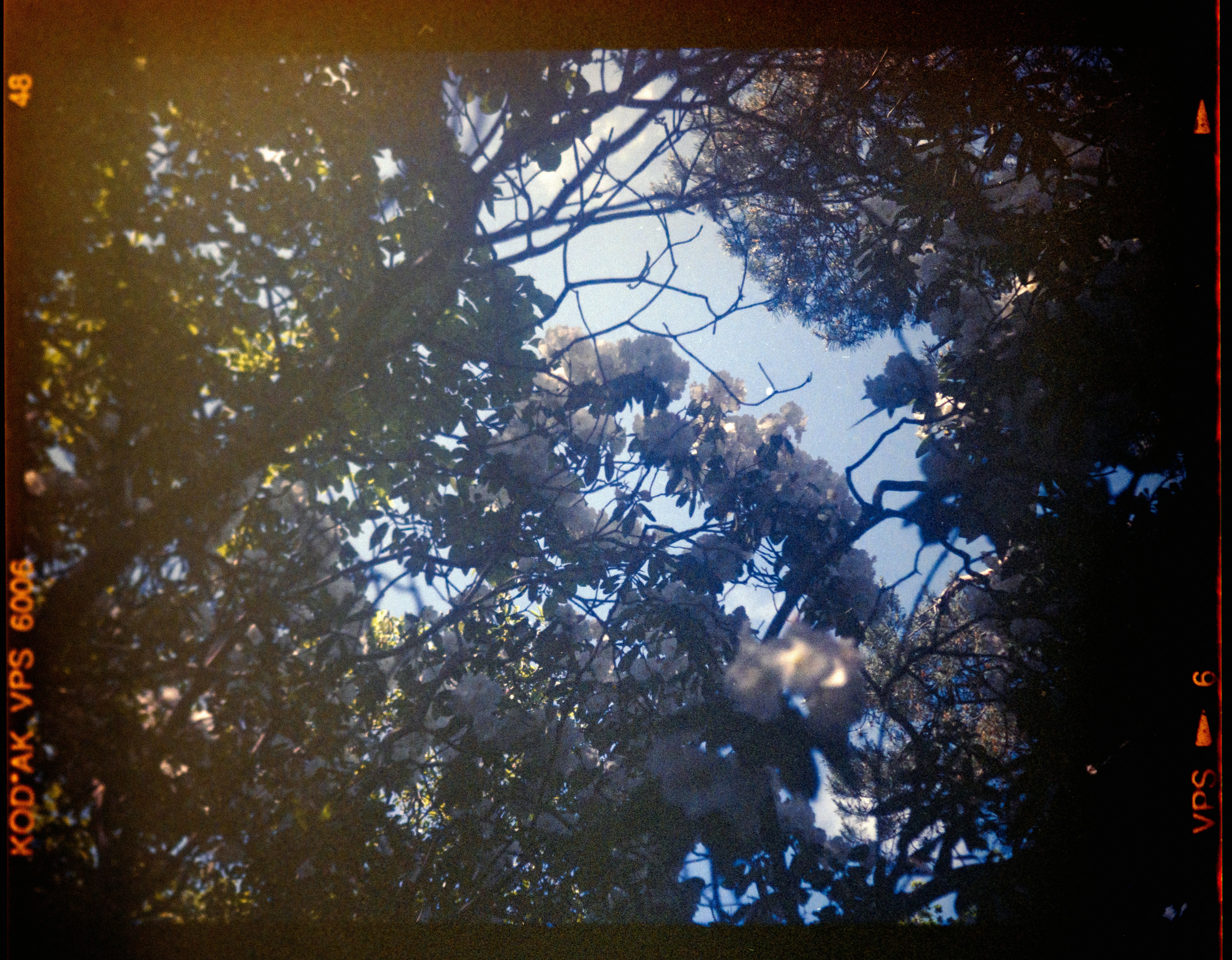 Photo by anniespratt