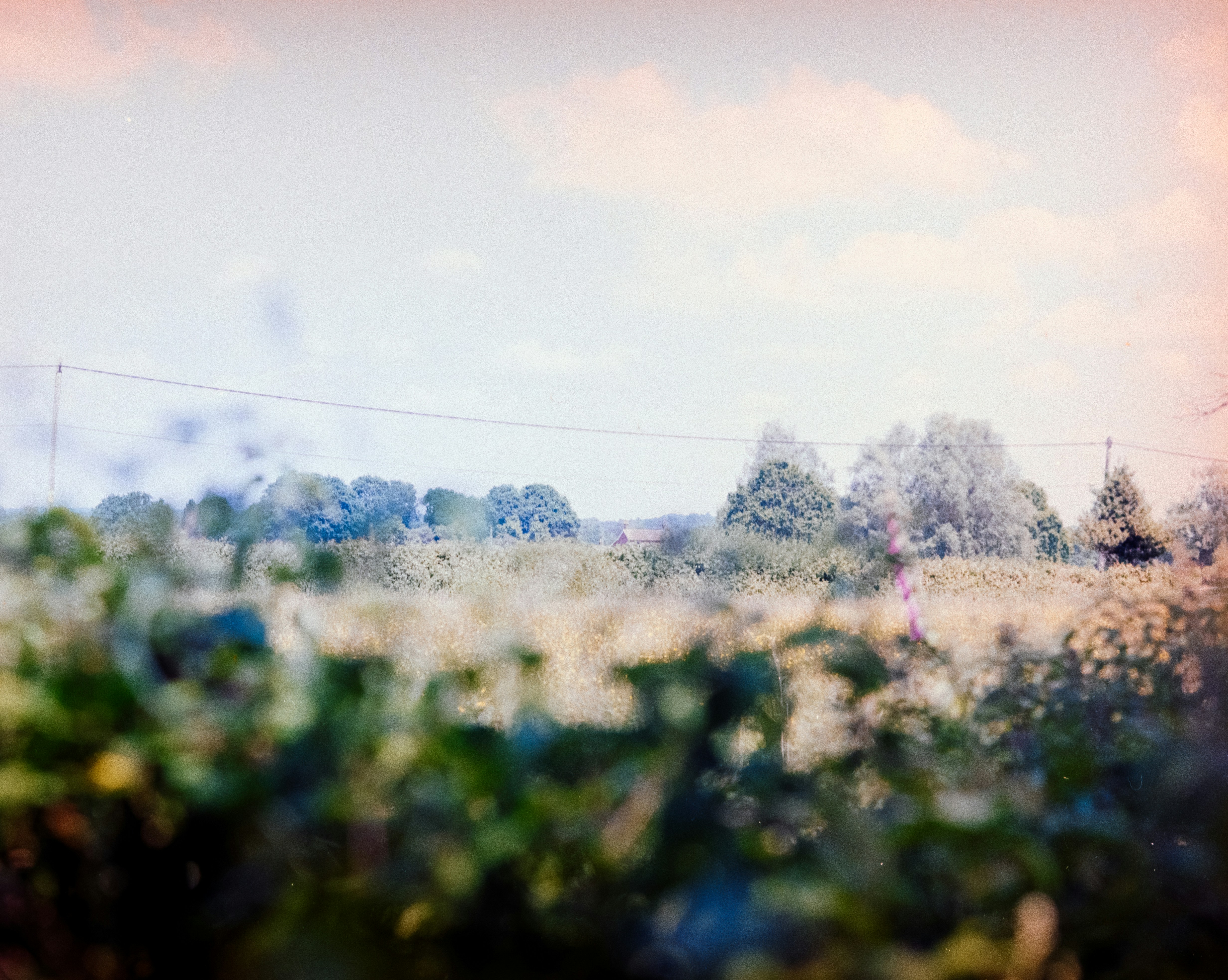 Photo by anniespratt