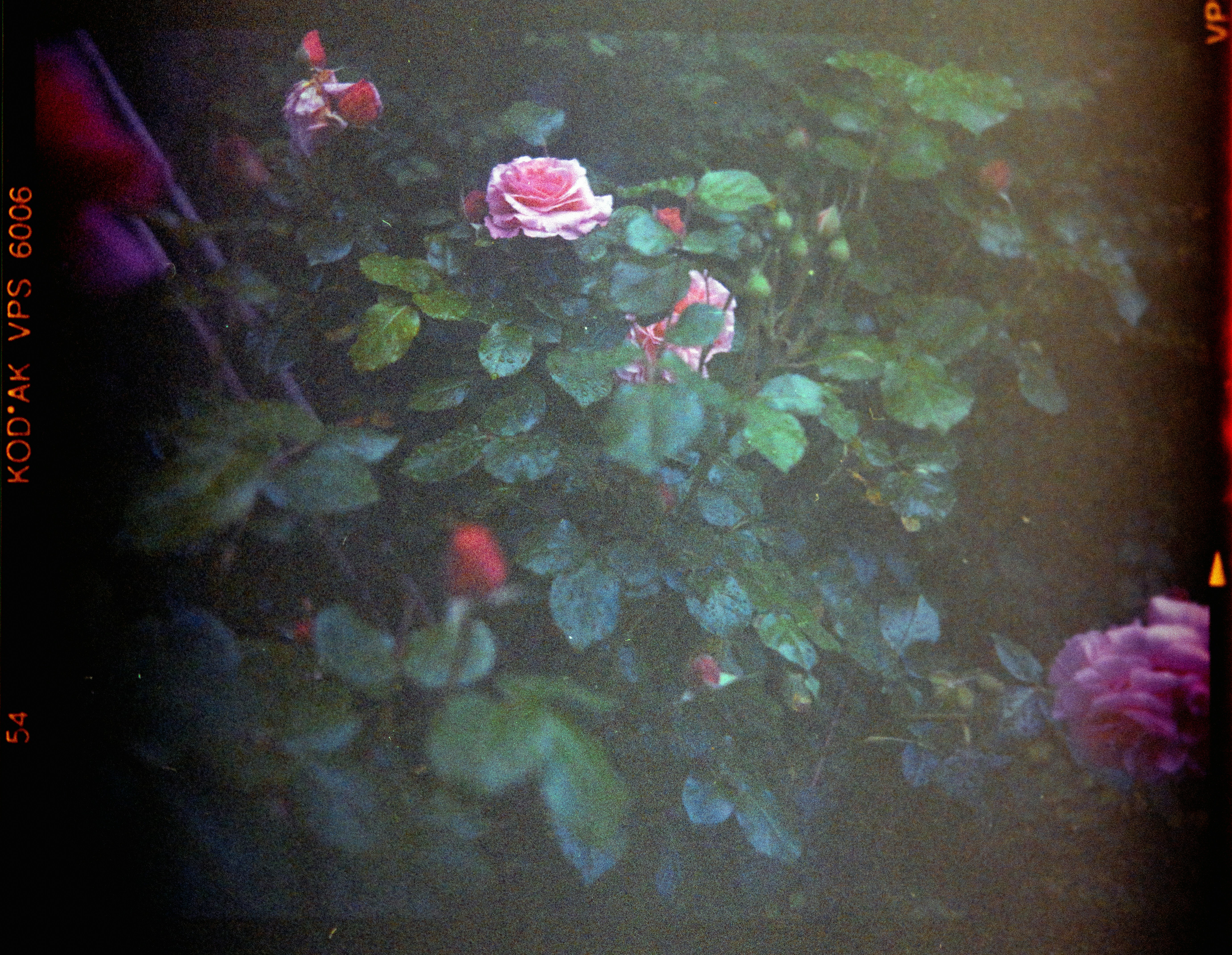 Photo by anniespratt