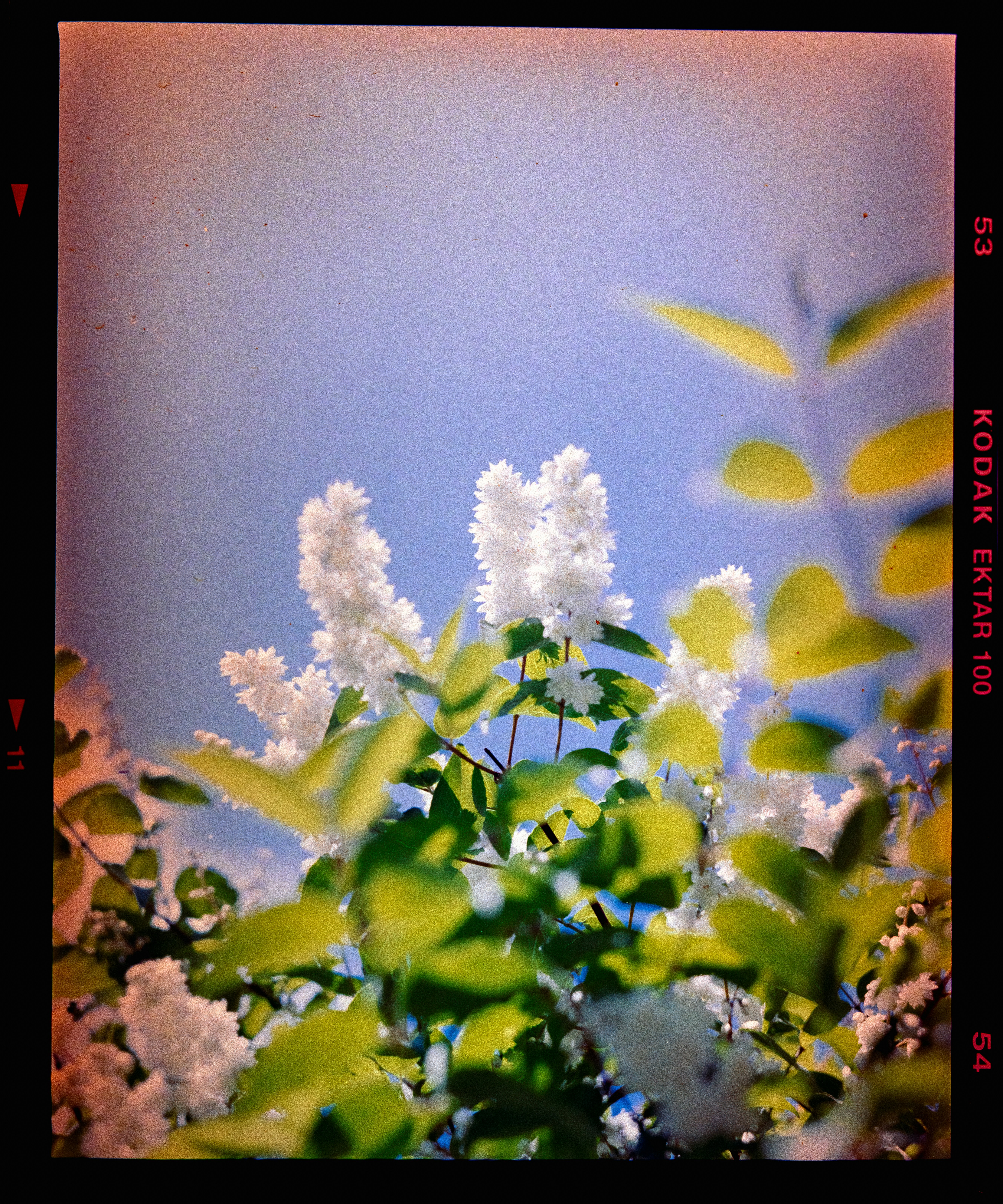 Photo by anniespratt