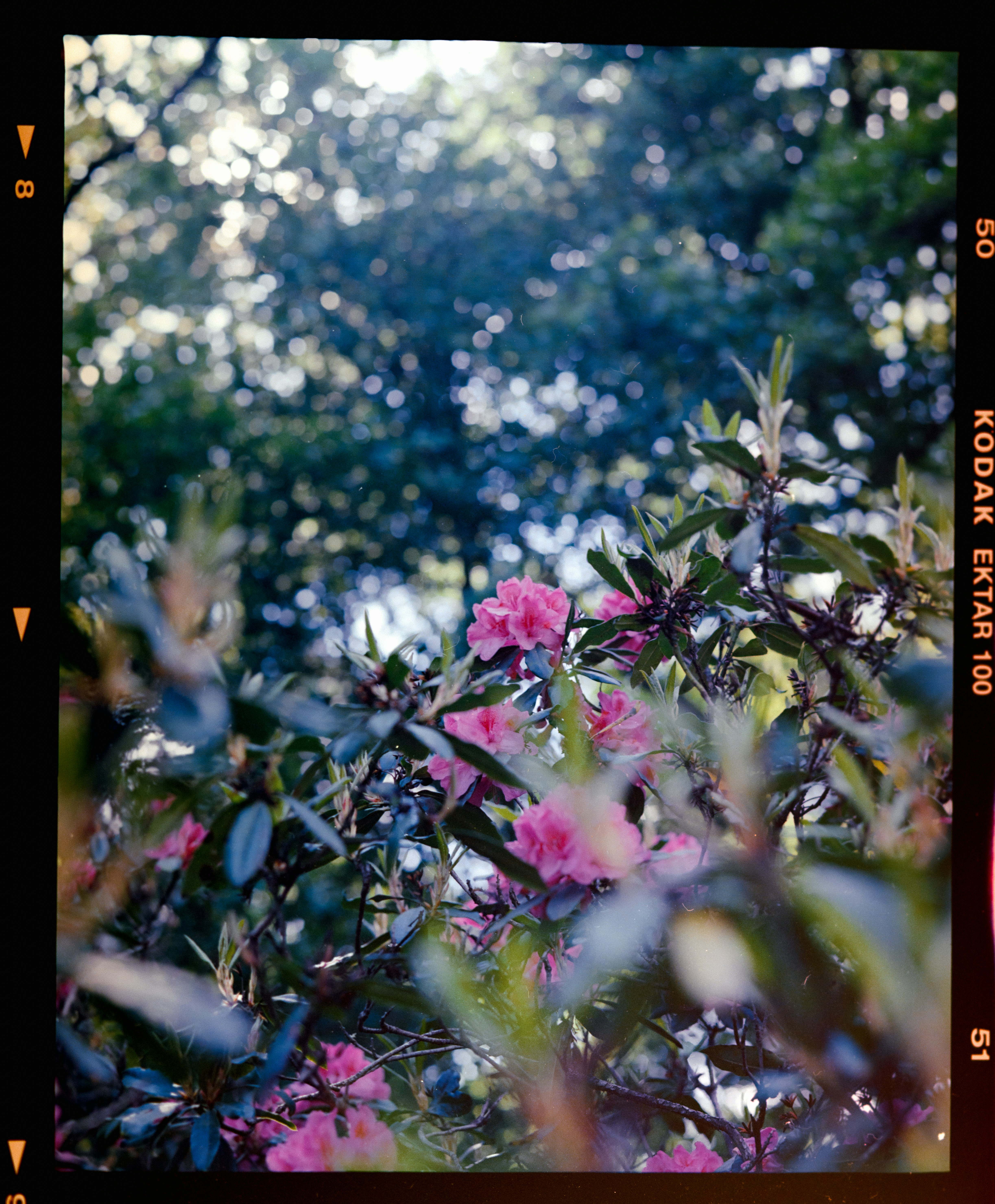 Photo by anniespratt