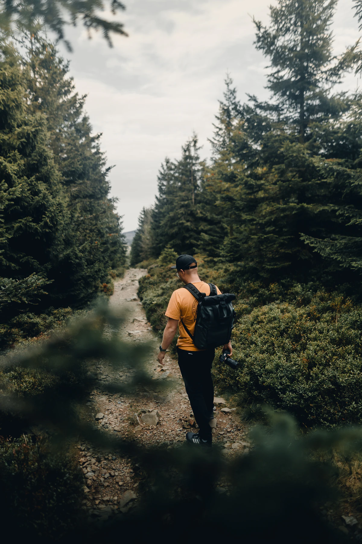Ein Mann mit Rucksack geht auf einem Weg durch einen Nadelwald