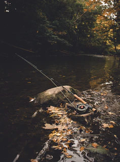 A man fishing in a river with a fishing rod