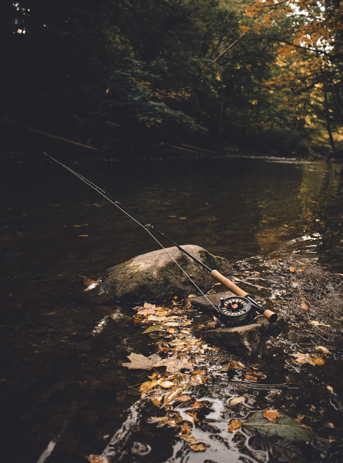 A fly rod and reel resting on a rock along a moving river — a day of float fishing
