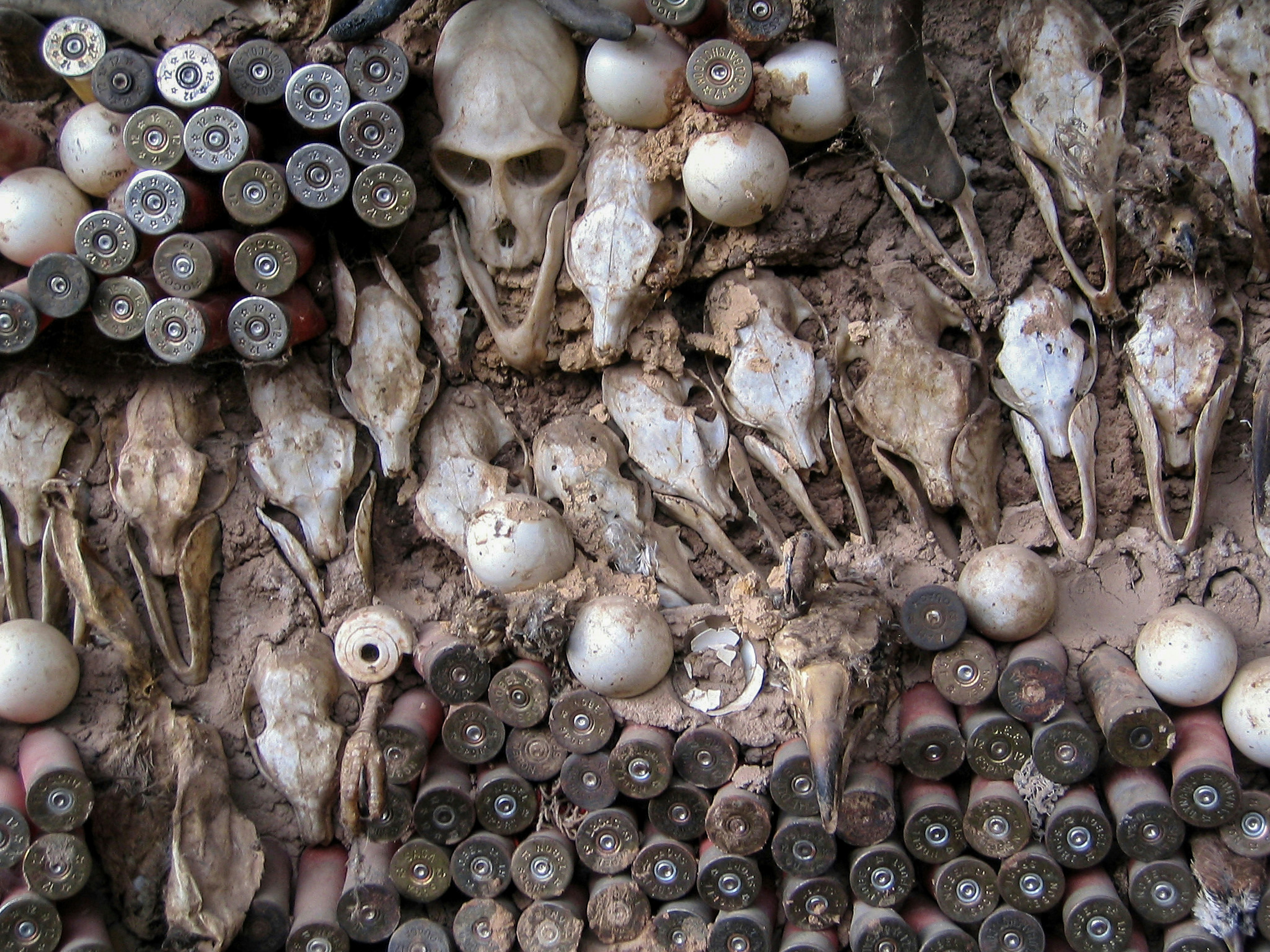 Un mucchio di teschi e altri oggetti a terra foto – Immagine gratis di  Umano su Unsplash, image size:3000x2250