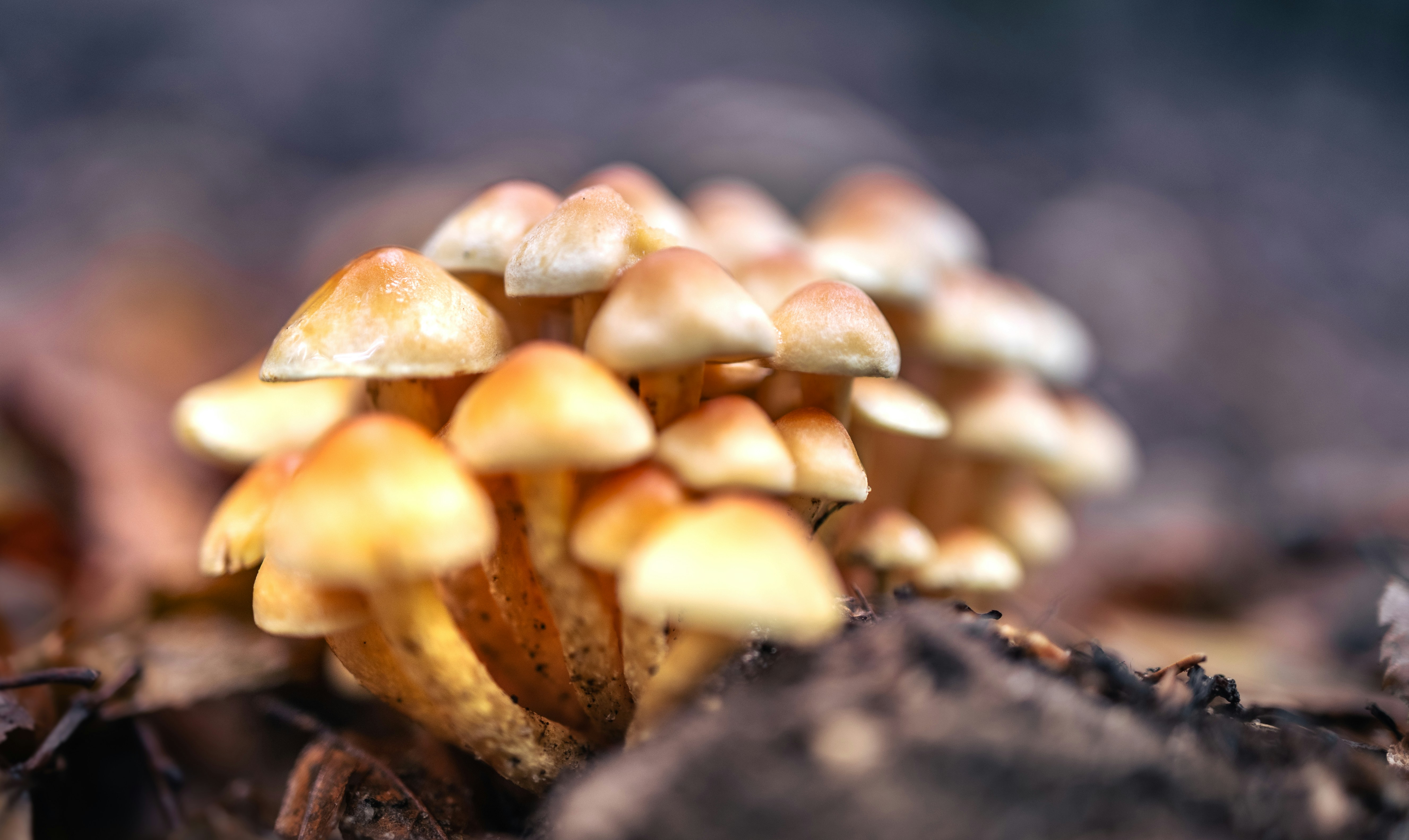 Photo by marekpiwnicki