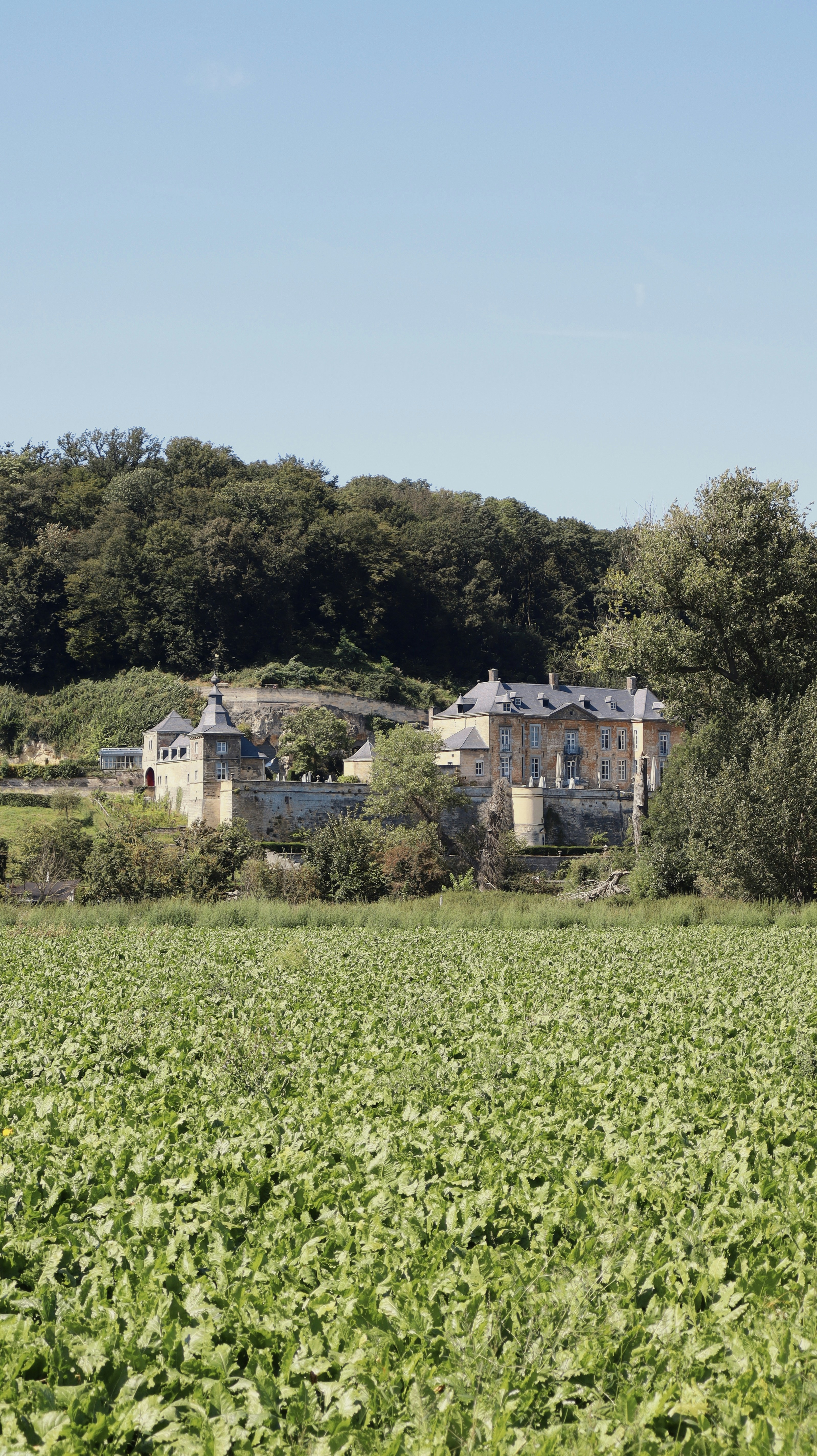 Photo by photos_by_golshan