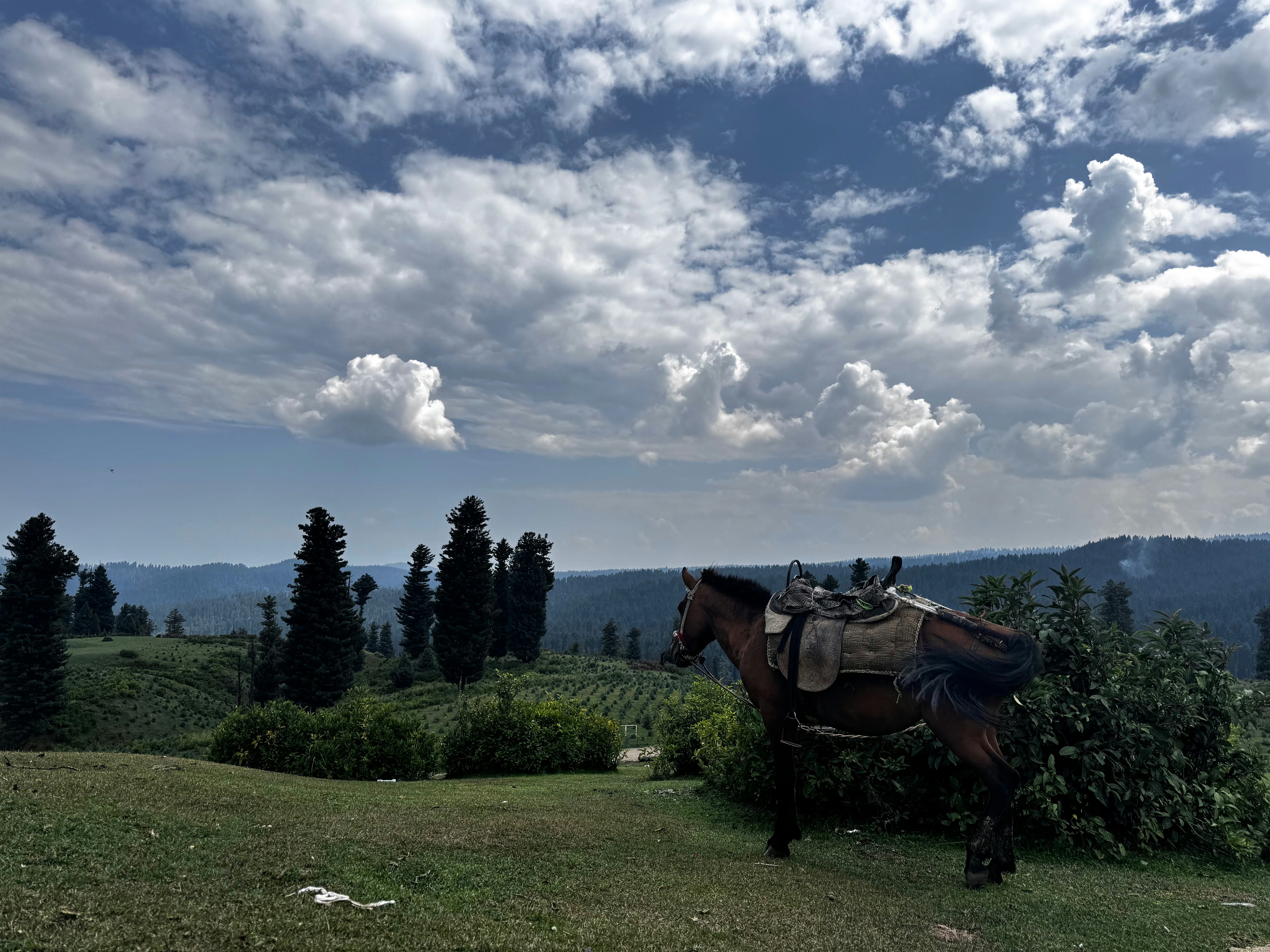 Photo by musaib_iqbal_bhat