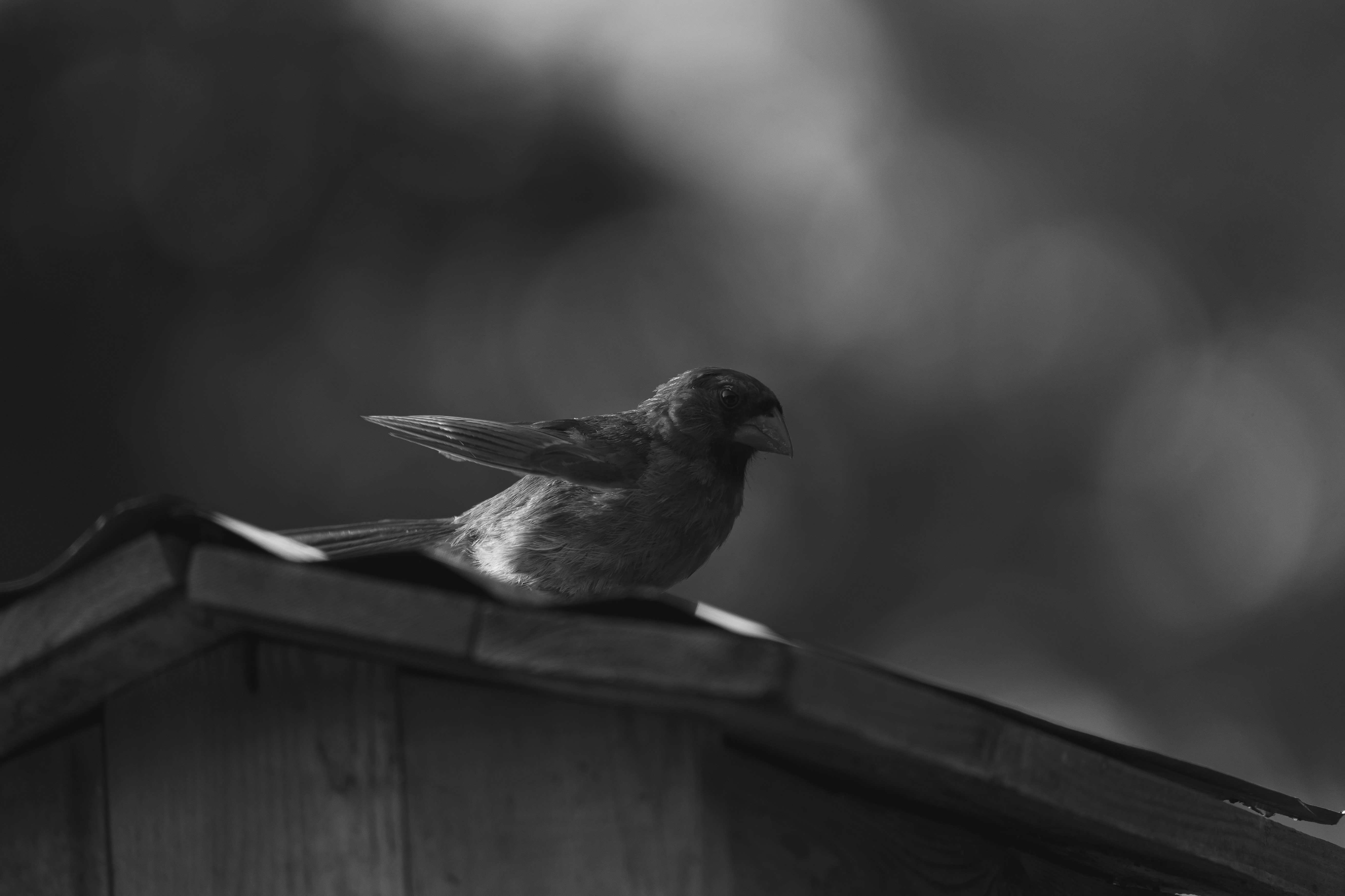 Photo by palmourphotography