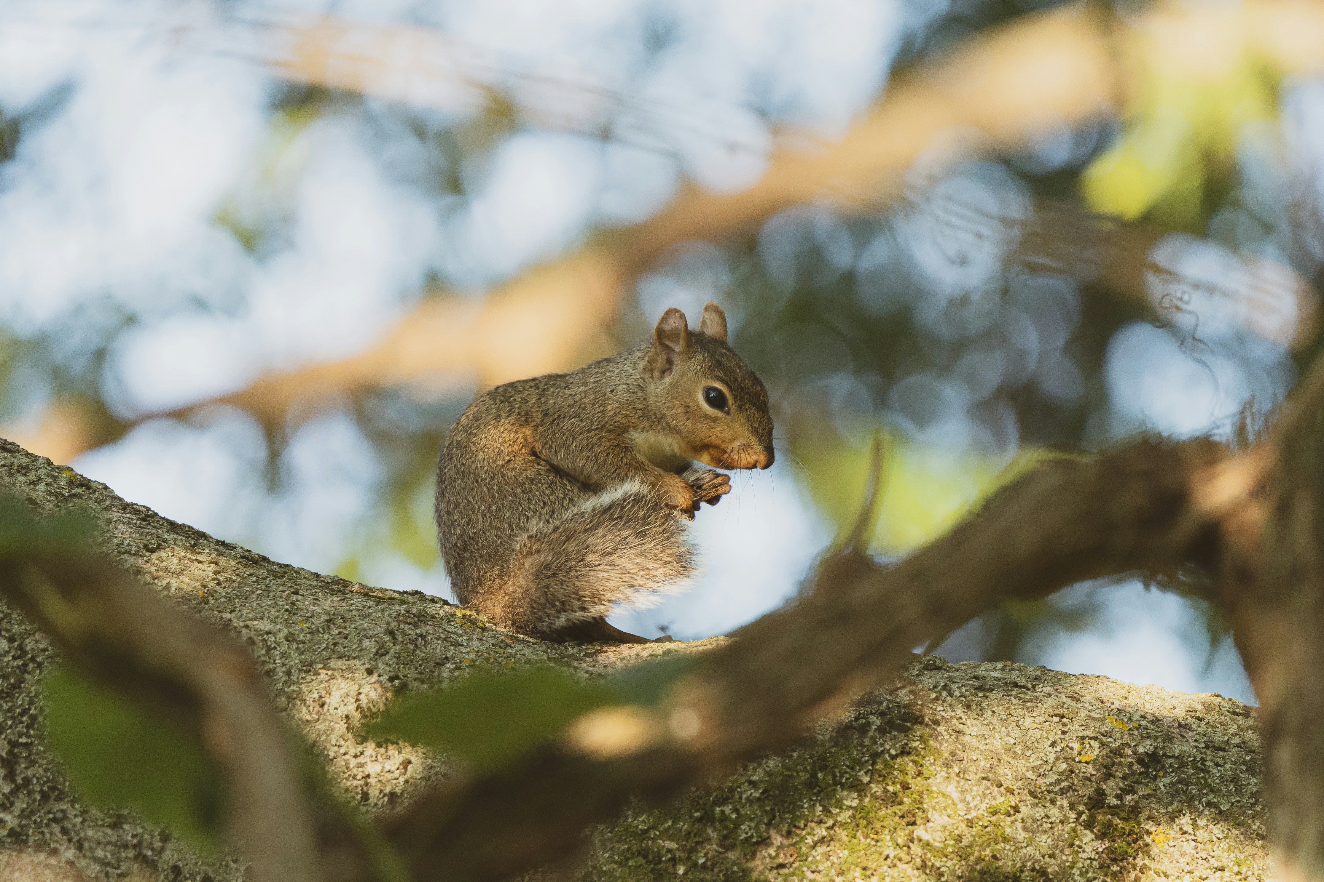 Photo by palmourphotography