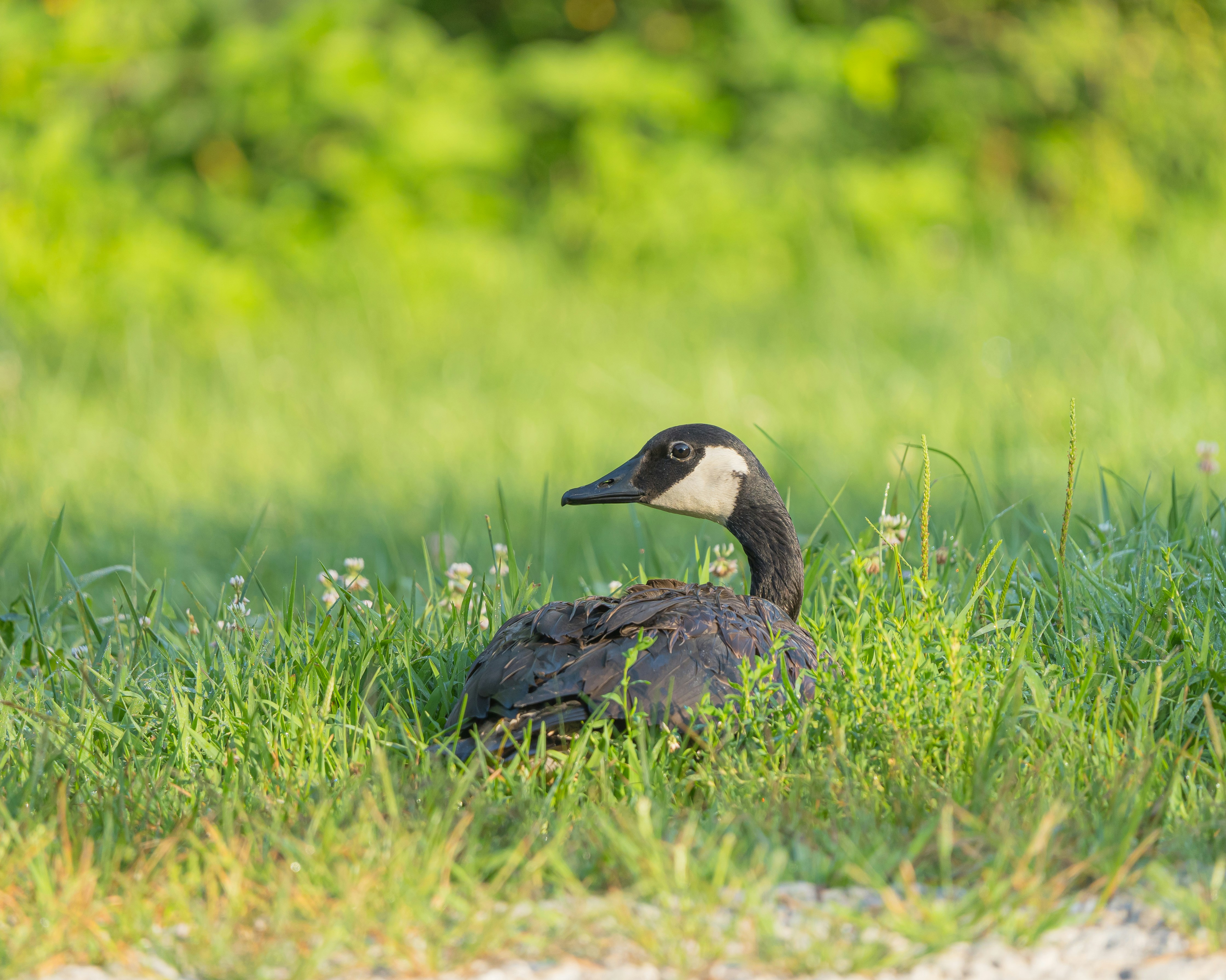 Photo by palmourphotography