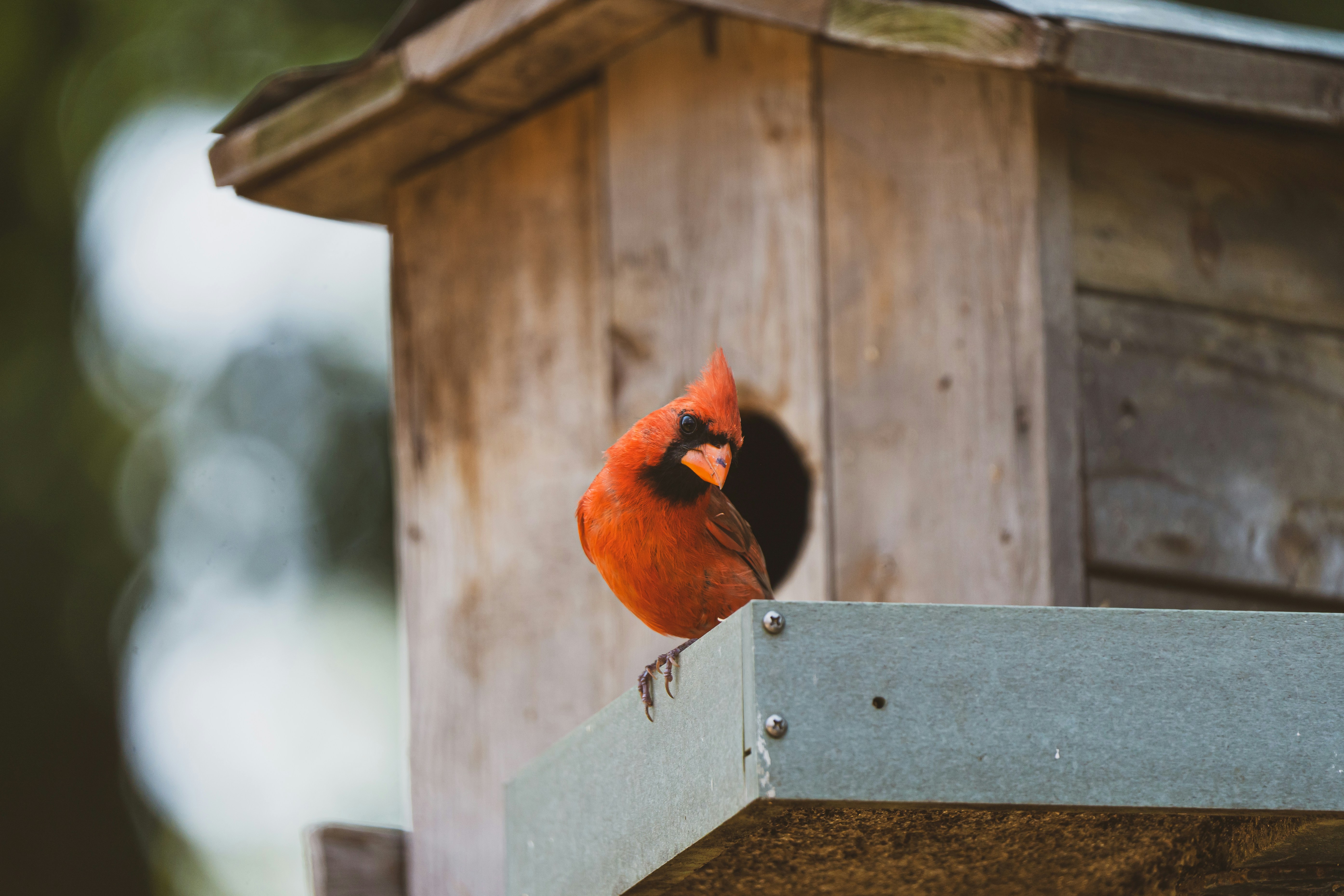 Photo by palmourphotography