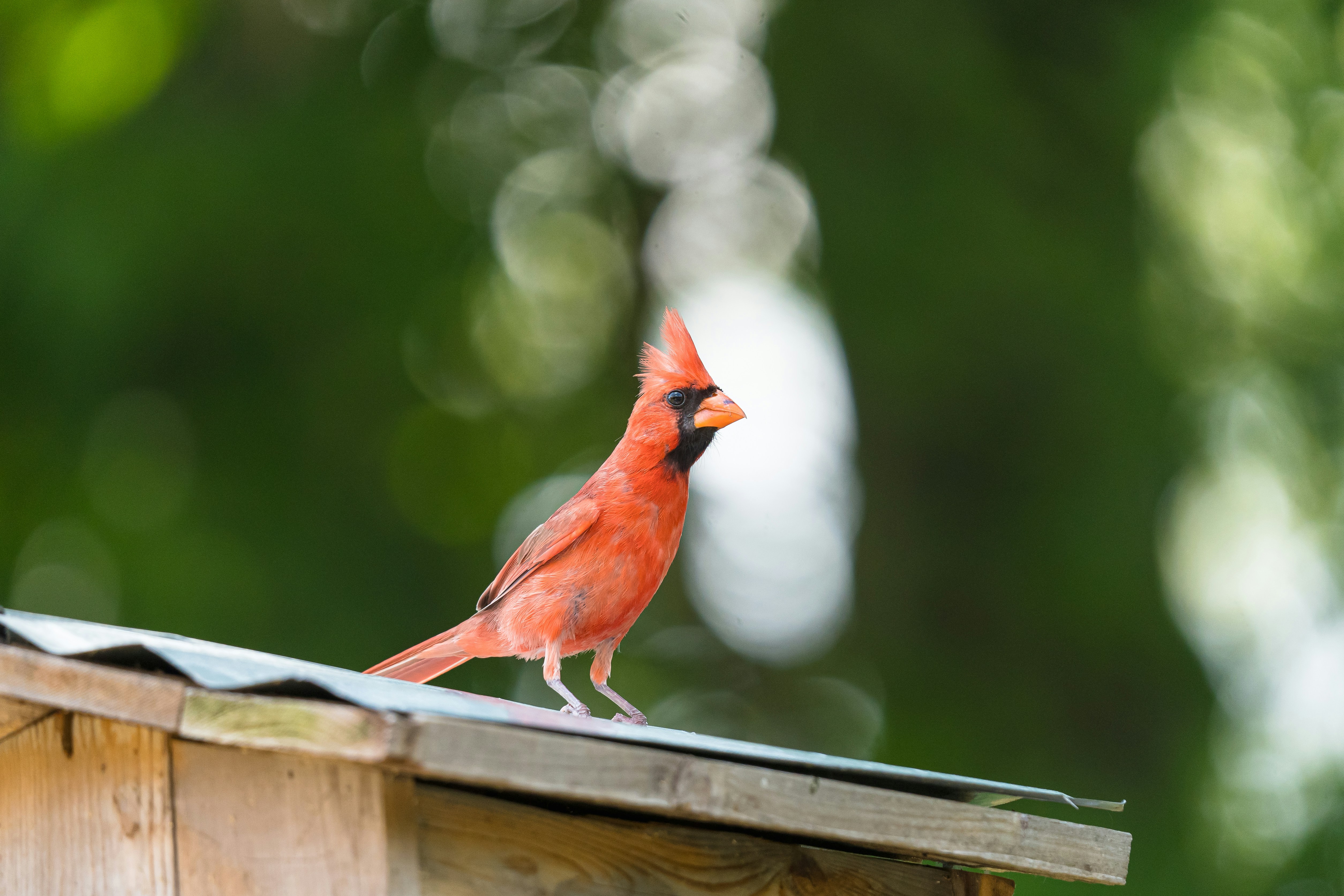 Photo by palmourphotography