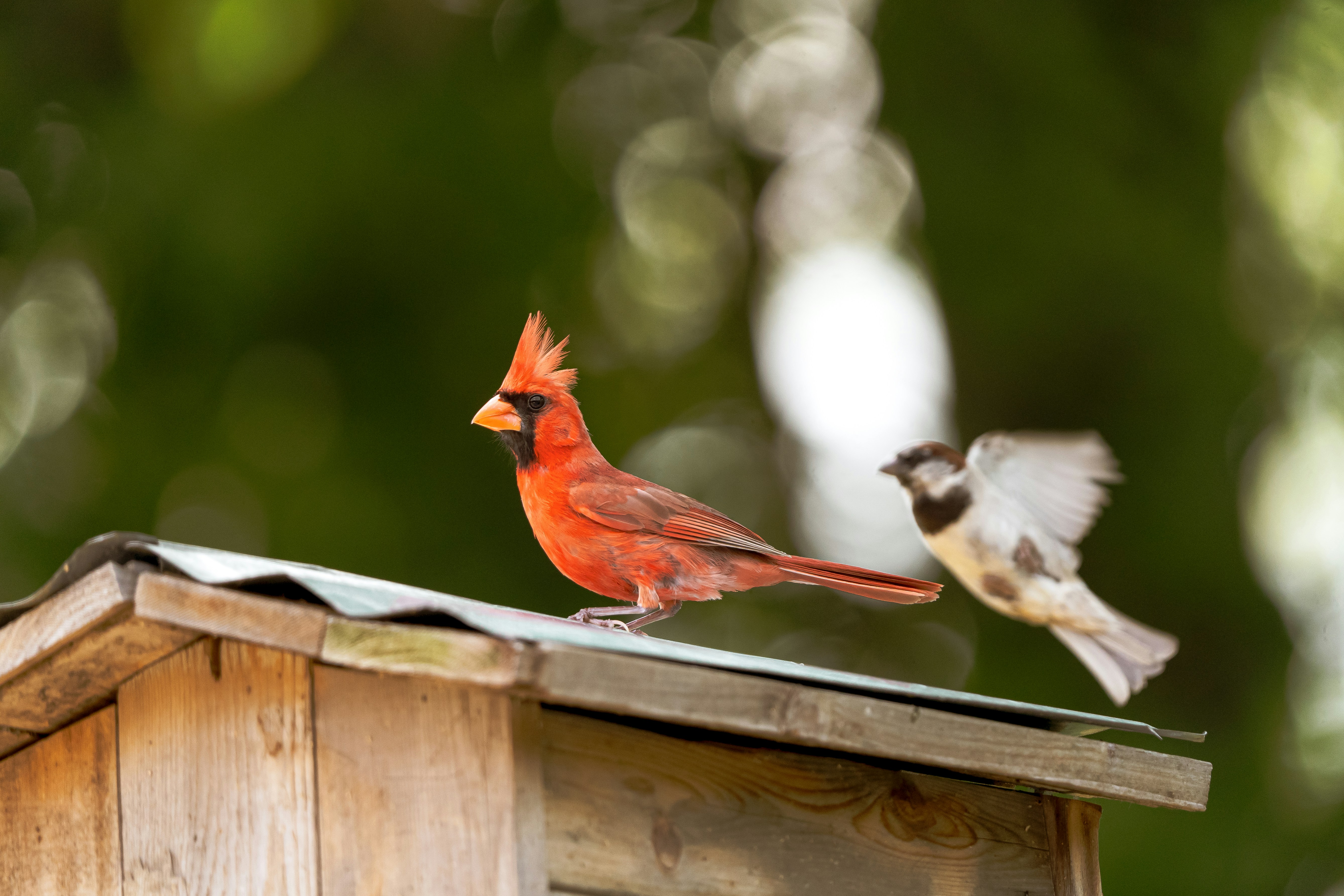 Photo by palmourphotography