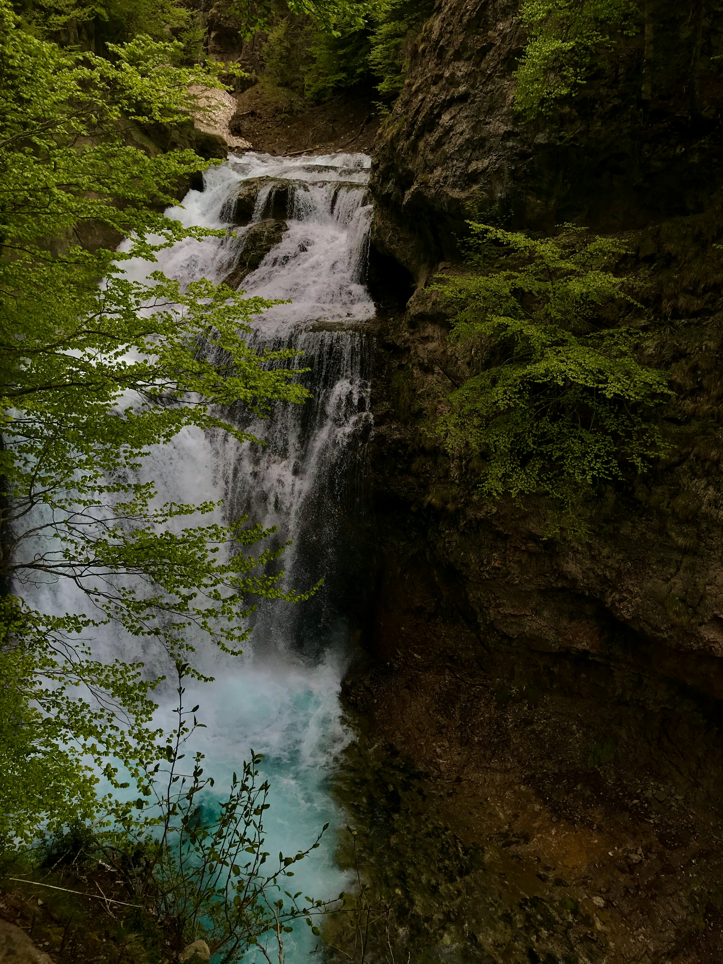 Photo by selmathornblom